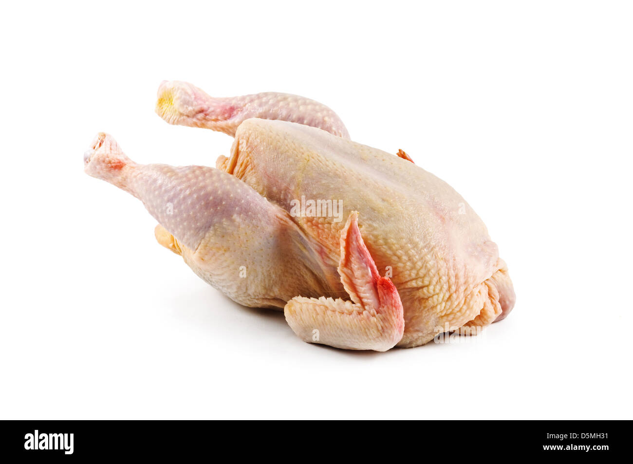Huhn isoliert auf weißem Hintergrund Stockfoto