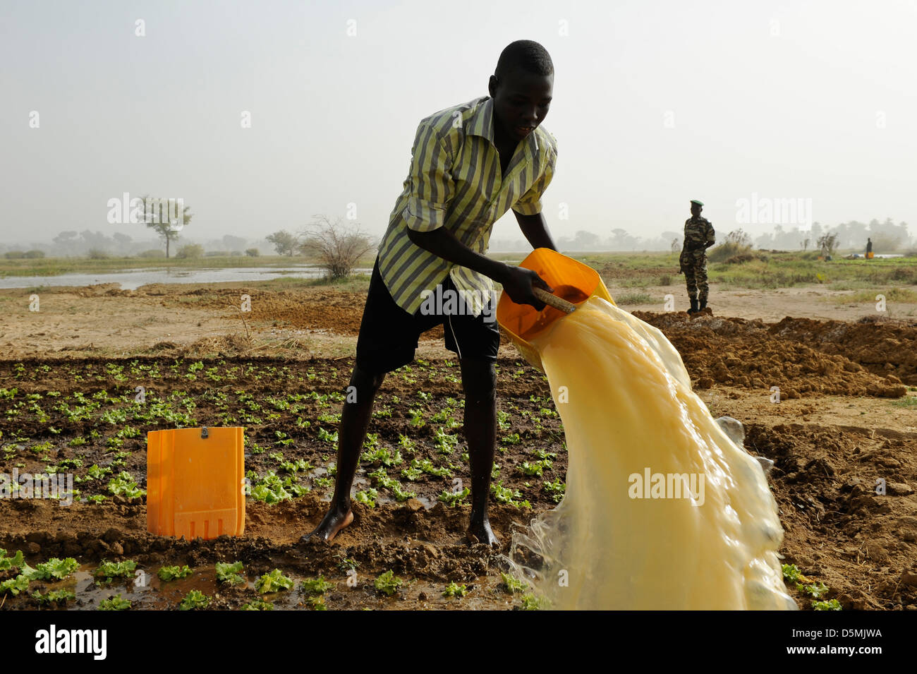 Afrika NIGER Zinder, Dorf Zongon Soumaguela, Bauer zu bewässern Gemüsegarten aus Wasserteich während der Trockenzeit Stockfoto