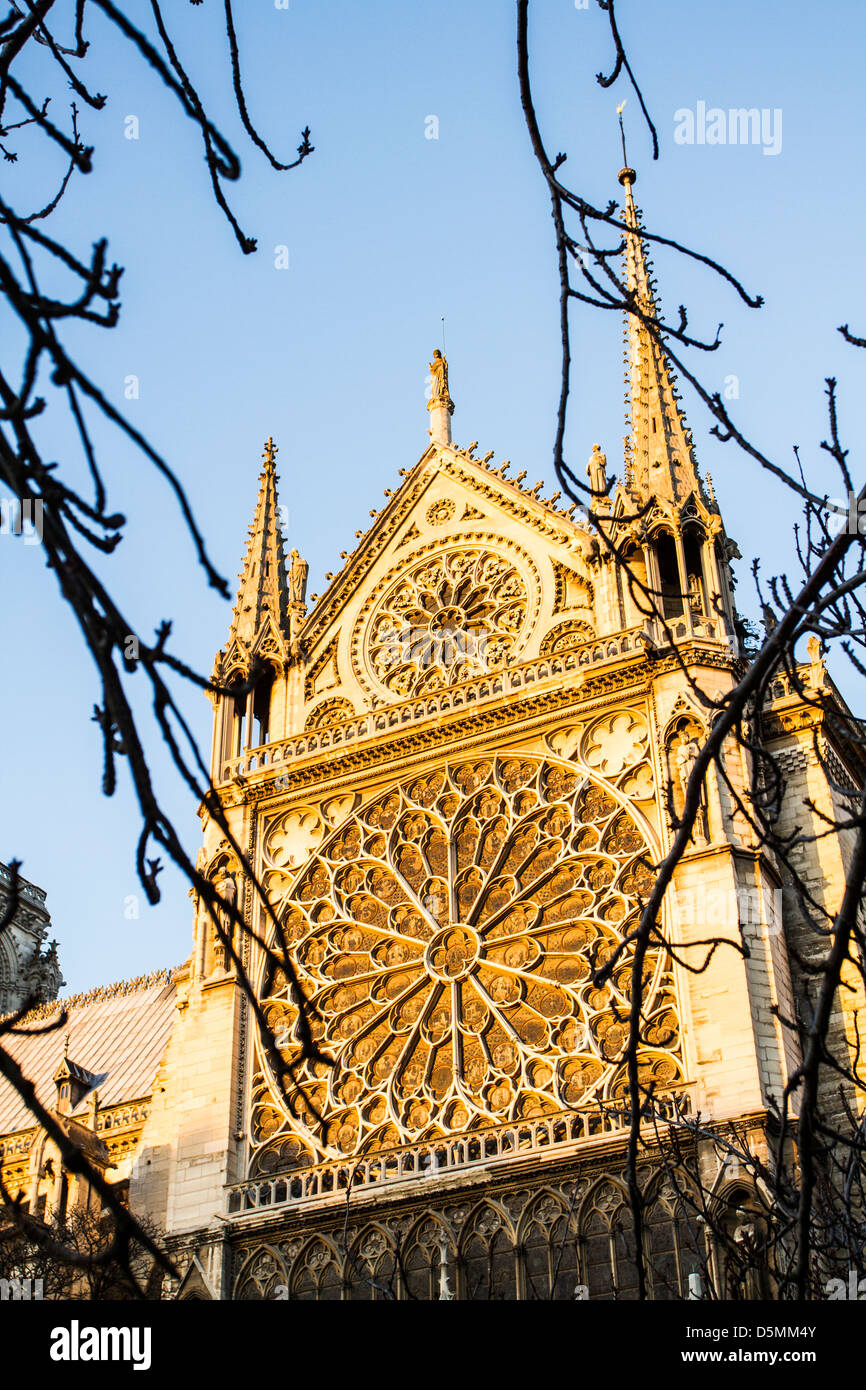 Rosette an der Südfassade der Notre Dame Cathedral (Cathedrale Notre Dame de Paris). Stockfoto