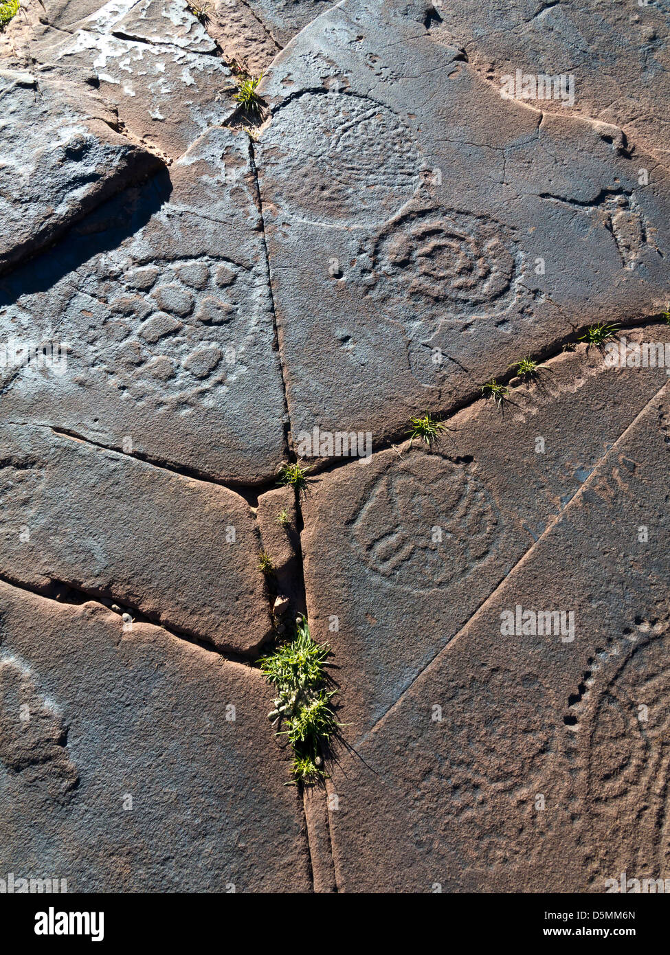 Prähistorische Felszeichnungen in Oukaimeden Skigebiet im hohen Atlas-Gebirge in Marokko Stockfoto