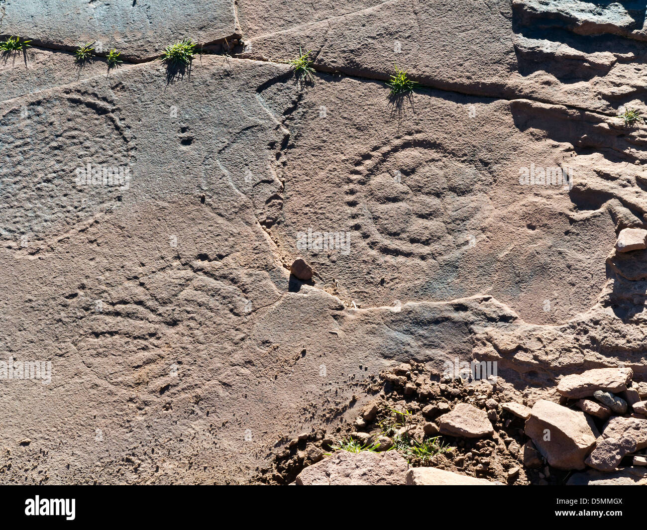 Prähistorische Felszeichnungen in Oukaimeden Skigebiet im hohen Atlas-Gebirge in Marokko Stockfoto