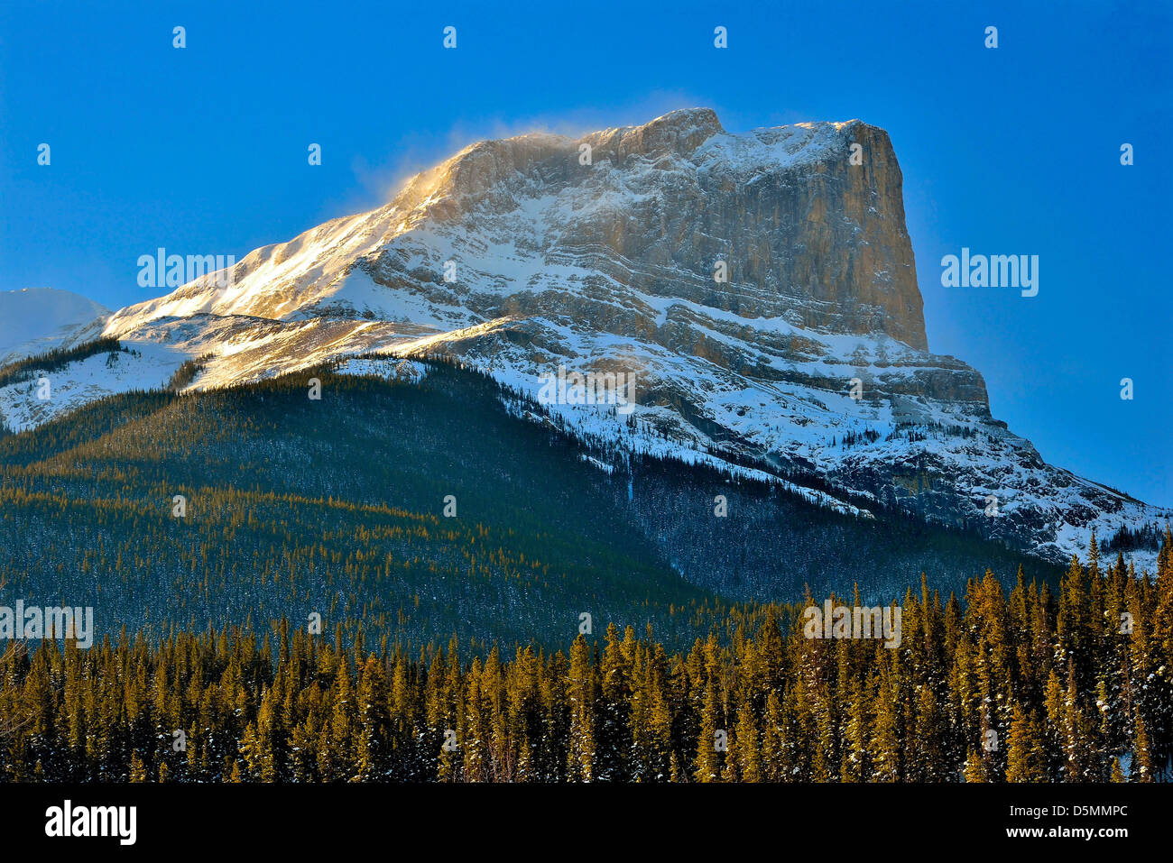 Miette Stockfotos Und Bilder Kaufen Alamy Miette Stockfotos Und Bilder Kaufen Alamy