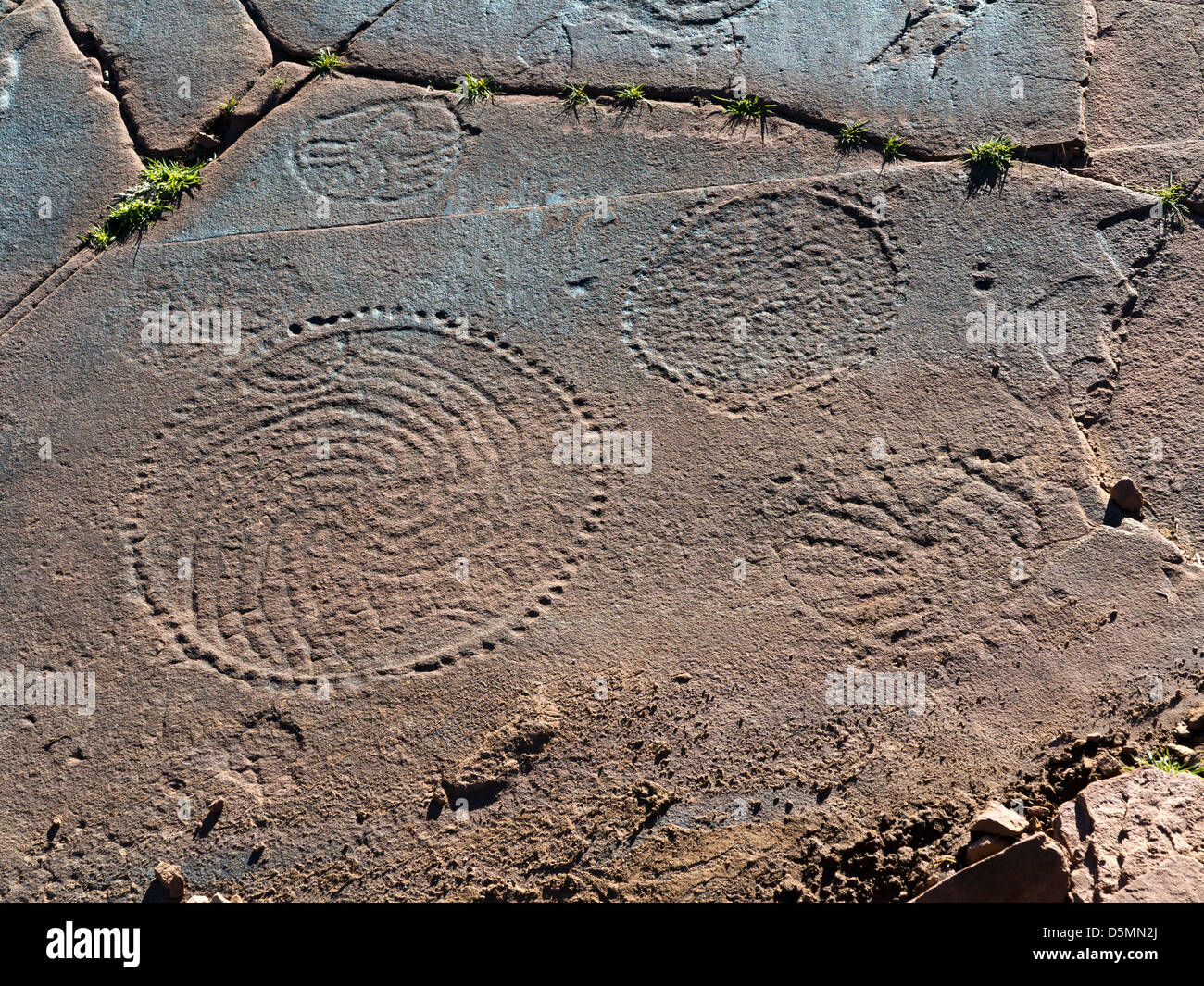 Prähistorische Felszeichnungen in Oukaimeden Skigebiet im hohen Atlas-Gebirge in Marokko Stockfoto
