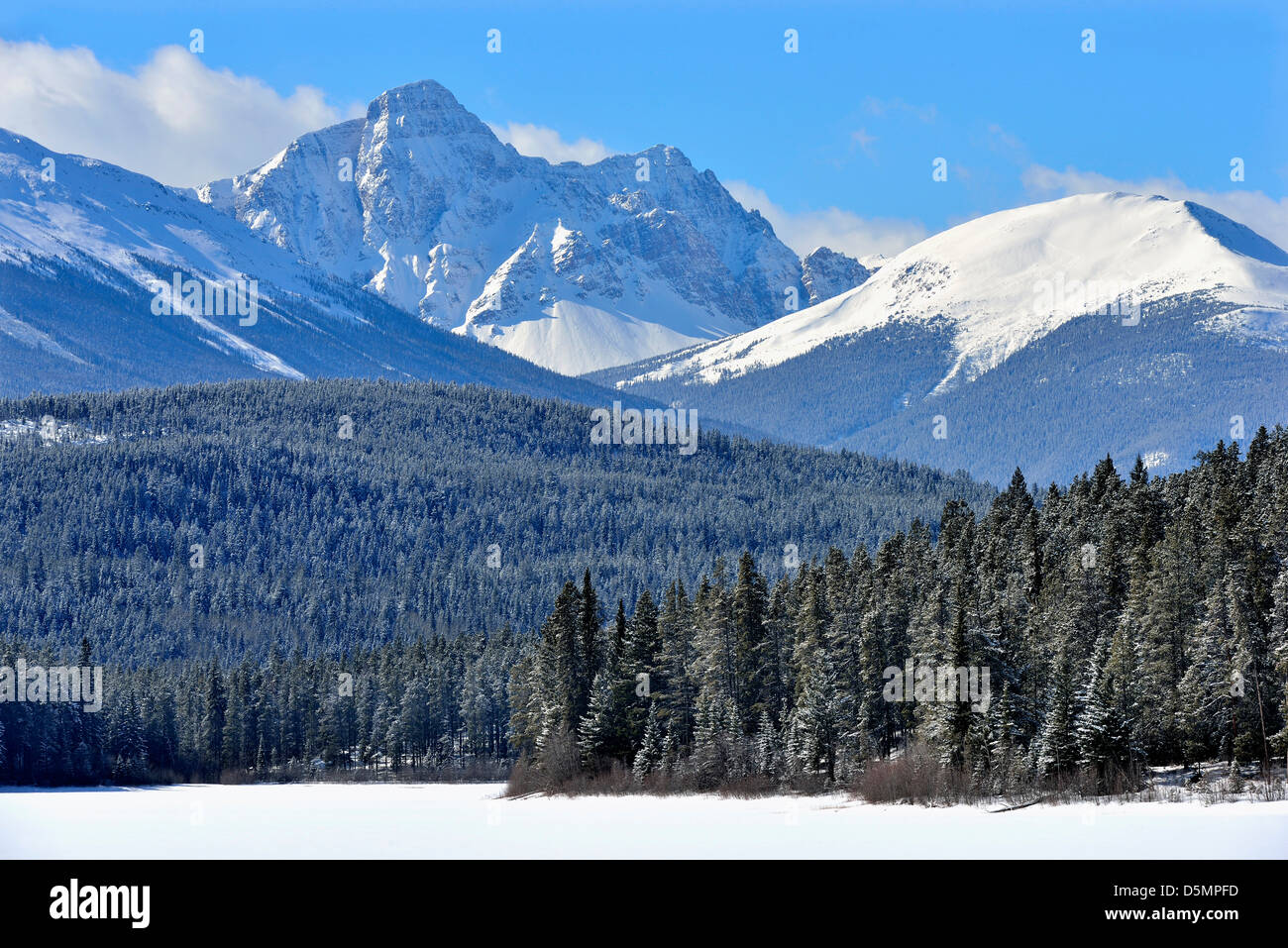 Mount Fitzwilliam überragt andere Schnee bedeckt Bergketten im Jasper National Park, Stockfoto