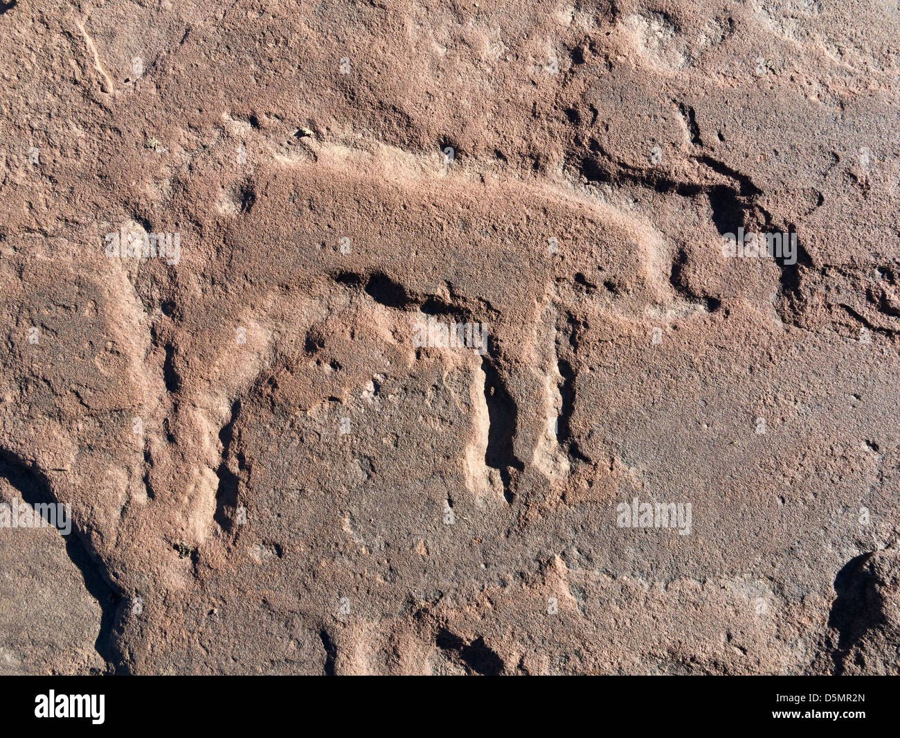 Prähistorische Felszeichnungen in Oukaimeden Skigebiet im hohen Atlas-Gebirge in Marokko Stockfoto