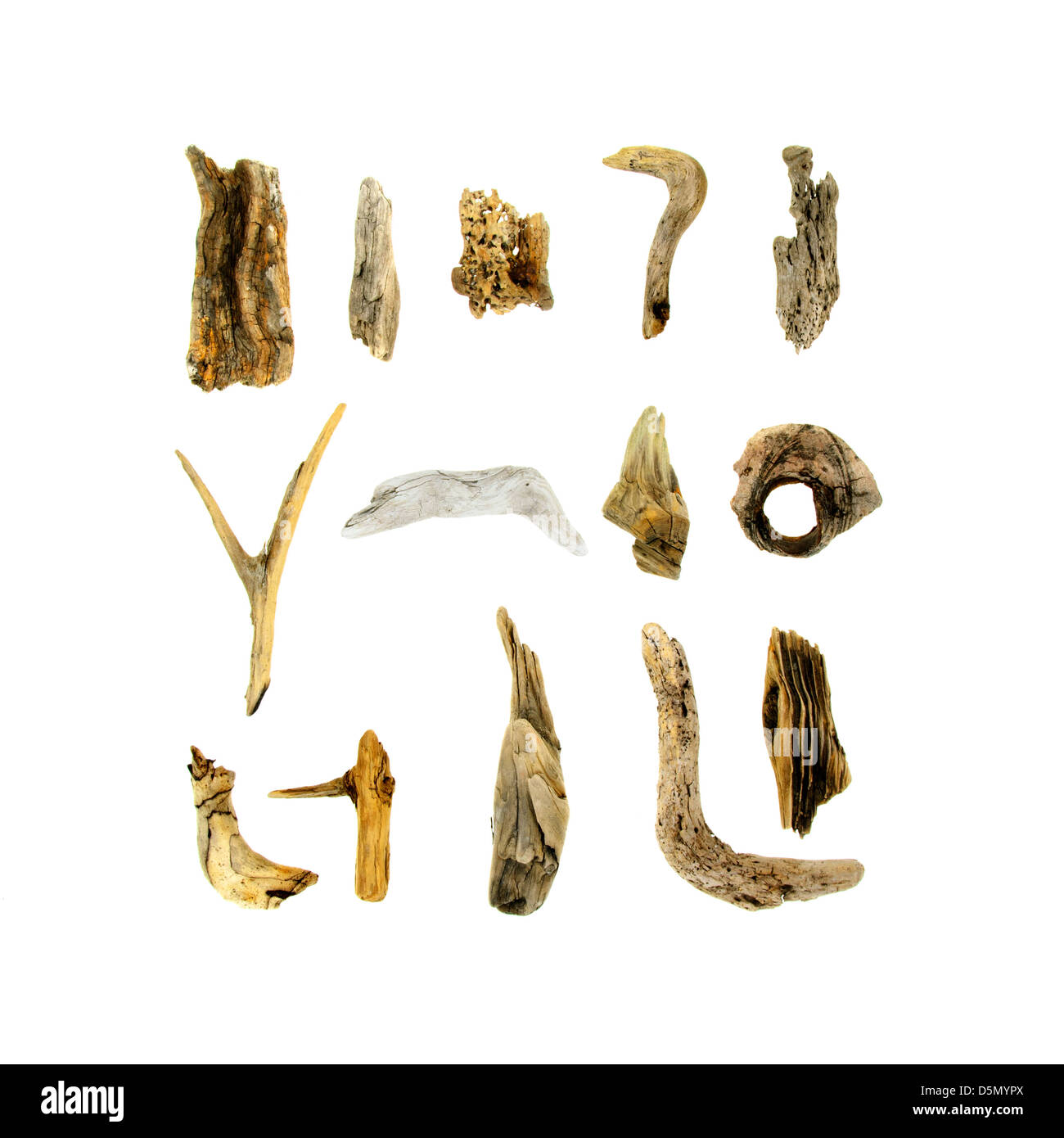 Kleine Stücke von Treibholz aus Maine Stockfoto