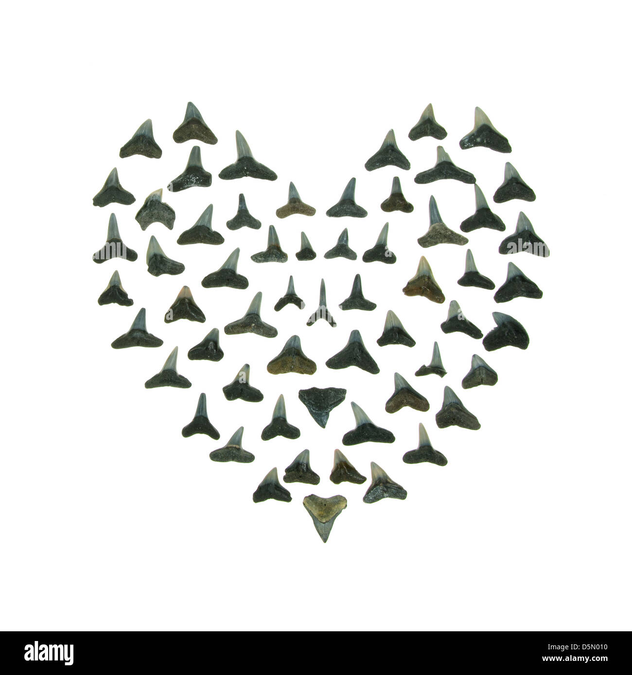 Ein Herz aus Haien Zähne - ein Punk-Remake von der traditionellen Sailors Valentine gebildet. Stockfoto