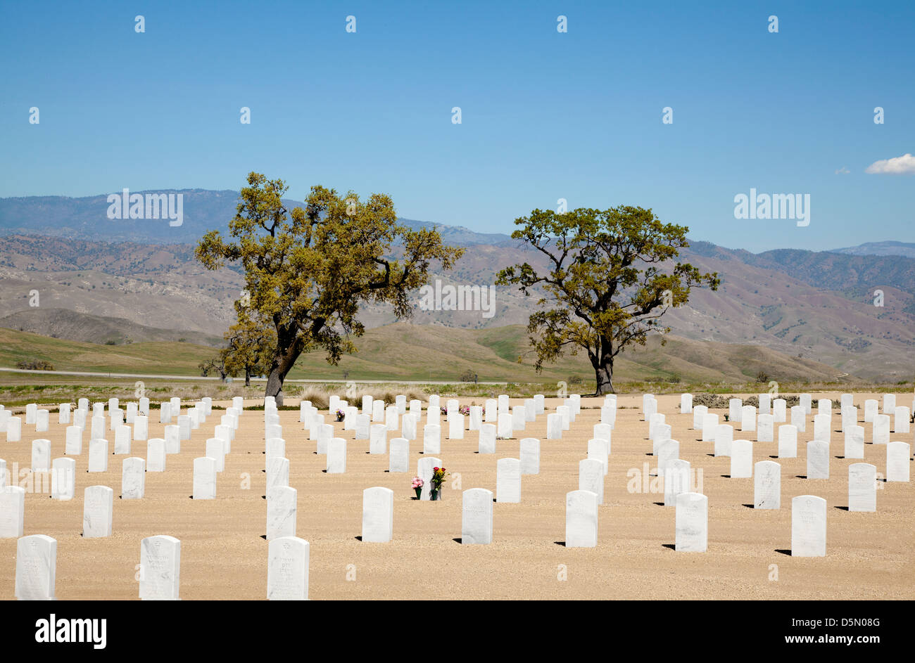 Gräber in Bakersfield Veterans Friedhof, Kalifornien, 2013. Stockfoto