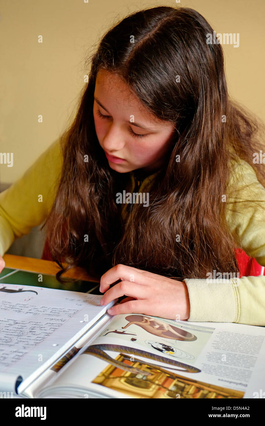 Ein junges Mädchen machen Hausaufgaben, Irland Stockfoto