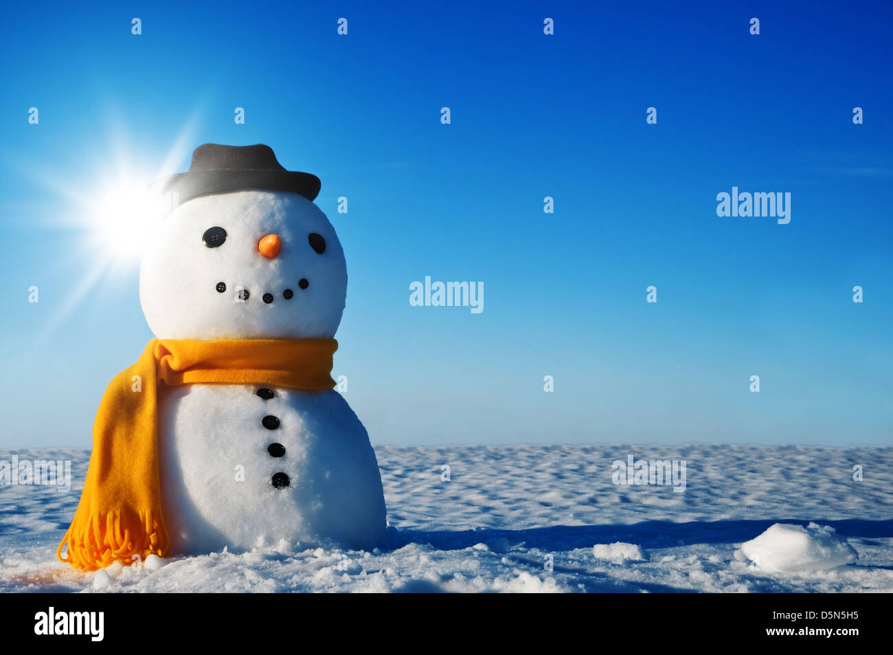 Schneemann auf Winter-Feld Stockfoto