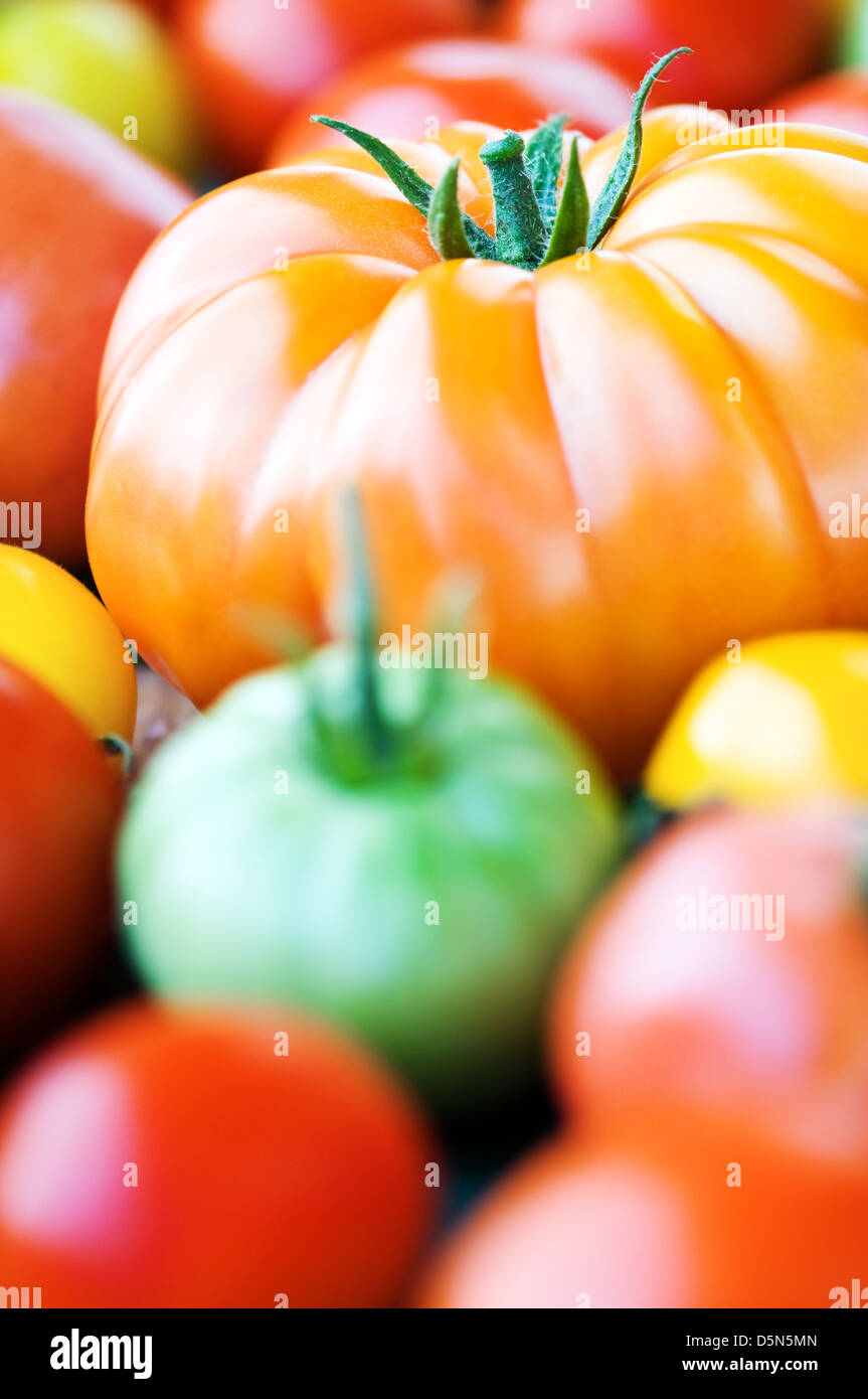 verschiedene Sorten von Tomaten hautnah Stockfoto