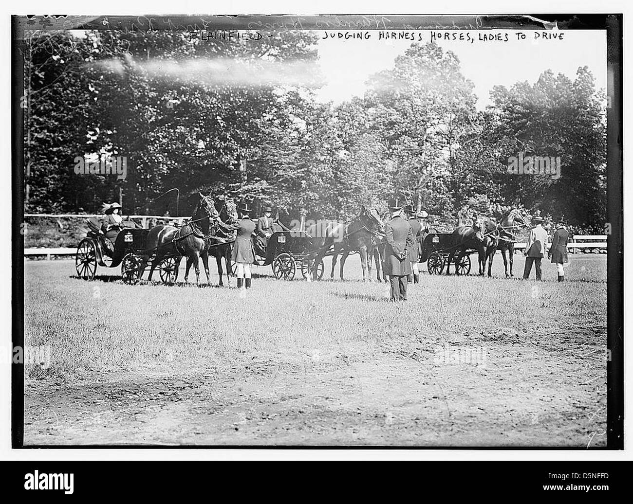 Plainfield, urteilen Arbeitspferde, Damen zu fahren (LOC) Stockfoto