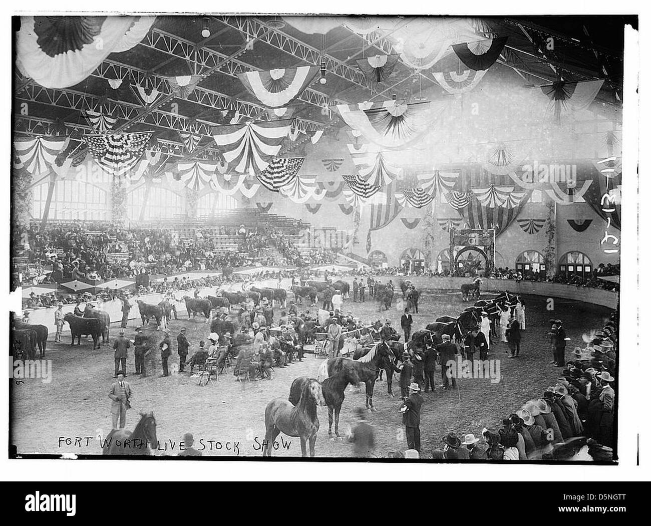 Fort Worth Stock Live-Show (LOC) Stockfoto