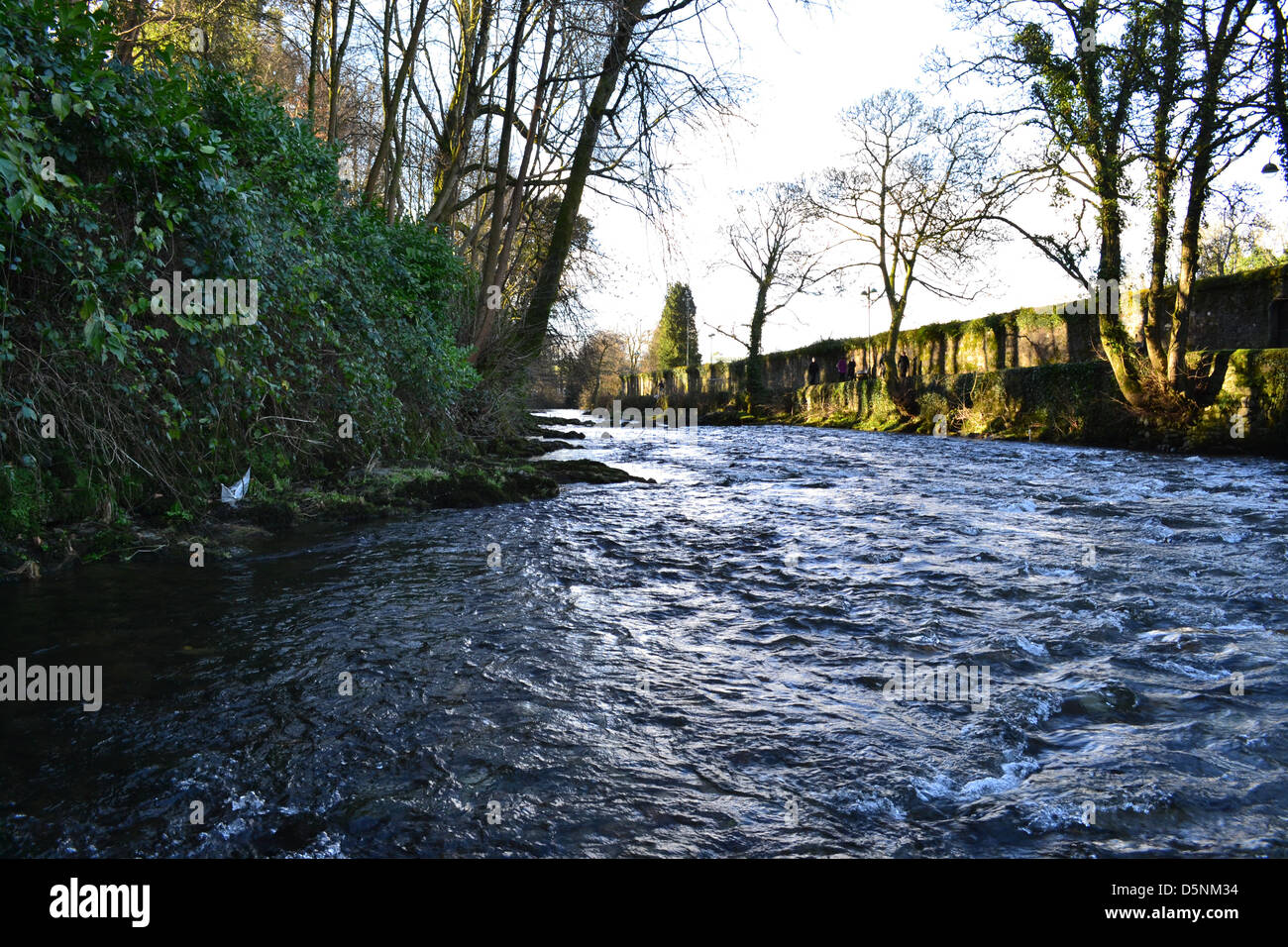 Szenische Bilder aus um Tavistock, Devon Stockfoto