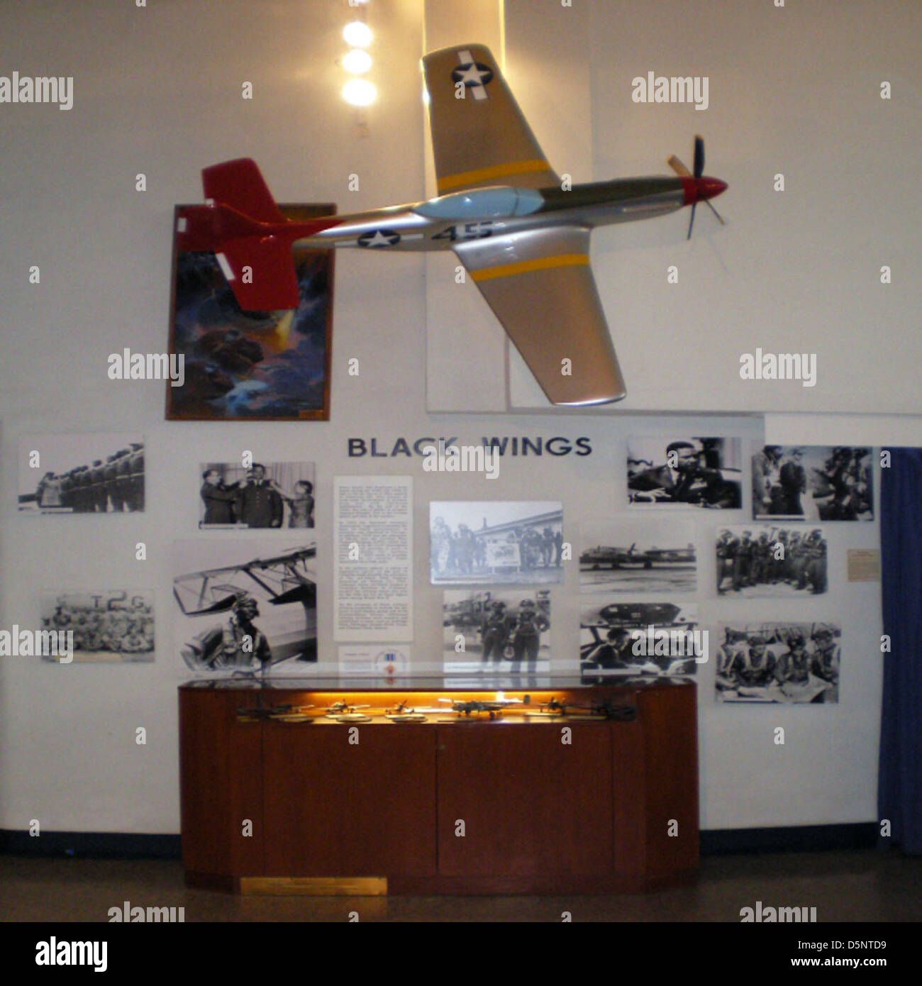 Die Tuskegee Airmen waren die ersten afroamerikanischen Flieger im US-Militär, die im Zweiten Weltkrieg dienten. Ihre Tapferkeit und Errungenschaften werden im San Diego Air and Space Museum geehrt, wo ihre Beiträge zur Luftfahrtgeschichte gezeigt werden. Stockfoto