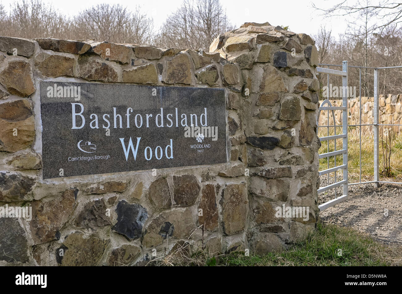 Bashfordsland Holz, Carrickfergus Stockfoto