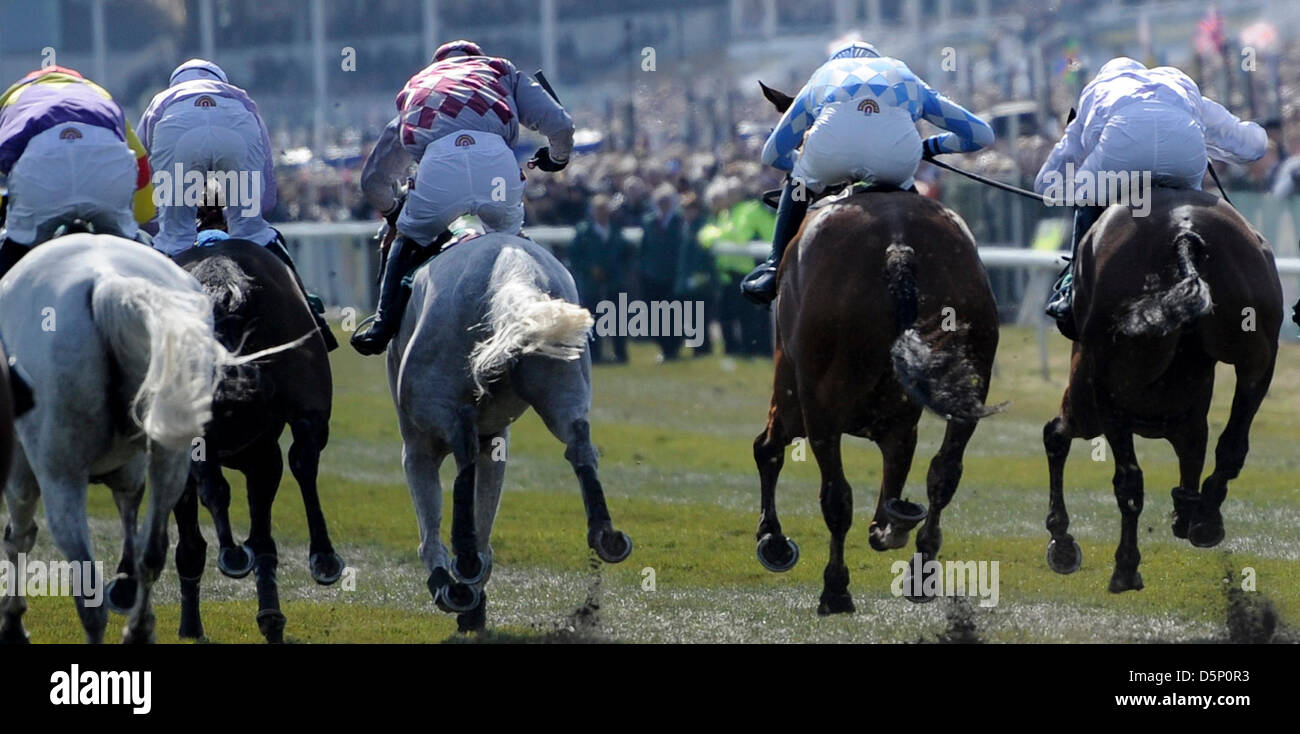 Aintree, UK. 6. April 2013.   Das Grand National Festival. Aktion von John Smiths Liverpool Hürde. Bildnachweis: Aktion Plus Sportbilder / Alamy Live News Stockfoto