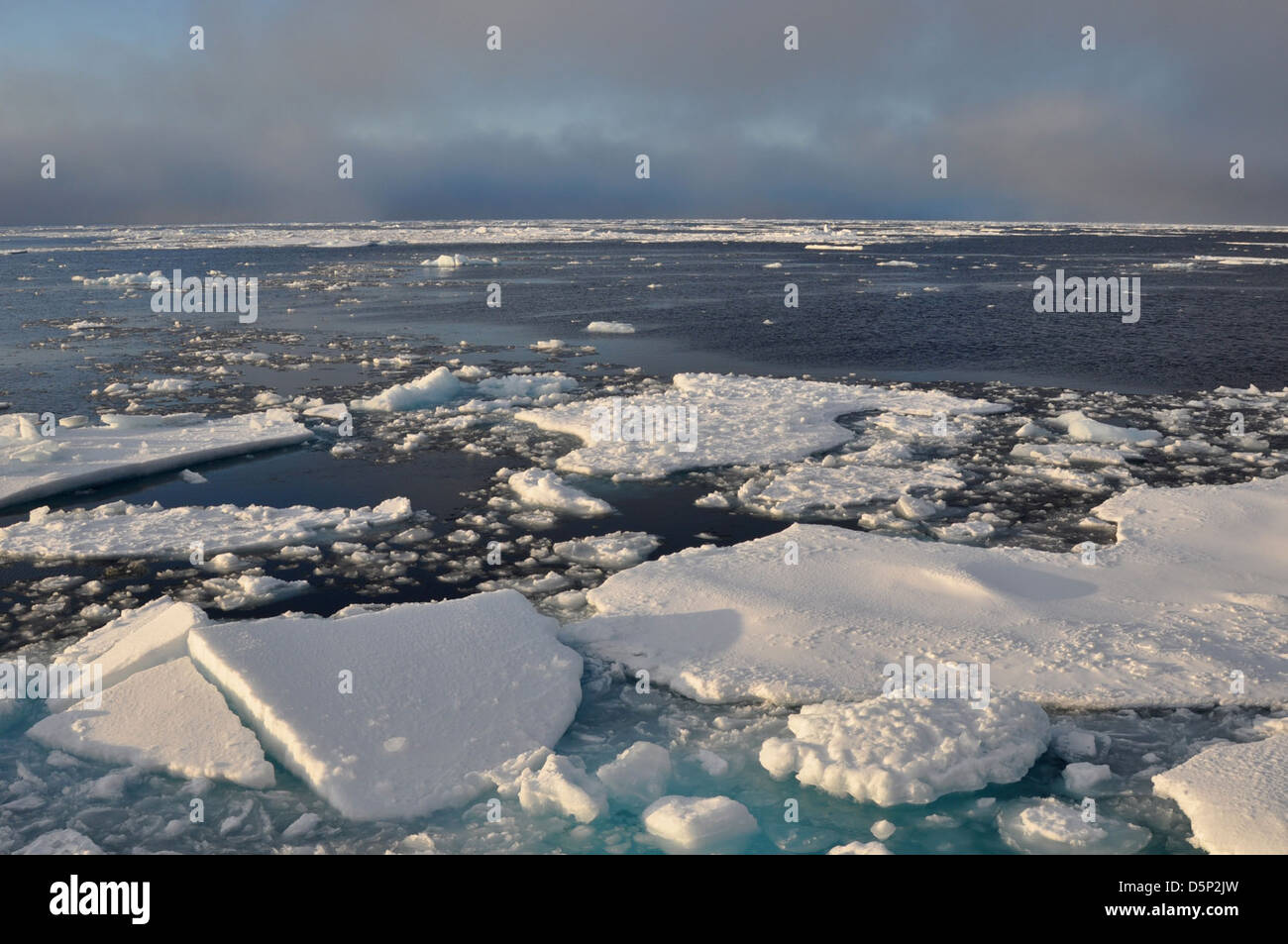 Das Bild zeigt einen Cutter der Küstenwache USCG St-Laurent, der in arktischen Gewässern navigiert und sich auf die Meereisforschung und die Wasserqualität in der Region konzentriert. Der für seine arktischen Operationen bekannte Cutter Healy spielt eine entscheidende Rolle bei der Umweltüberwachung. Stockfoto