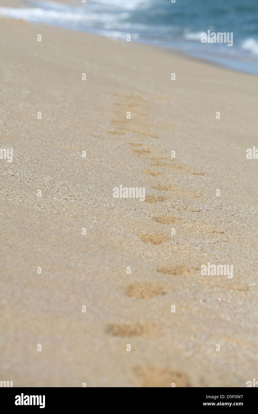 Rückansicht einer Fußspuren im Sand am Strand mit dem Meer im Hintergrund Stockfoto