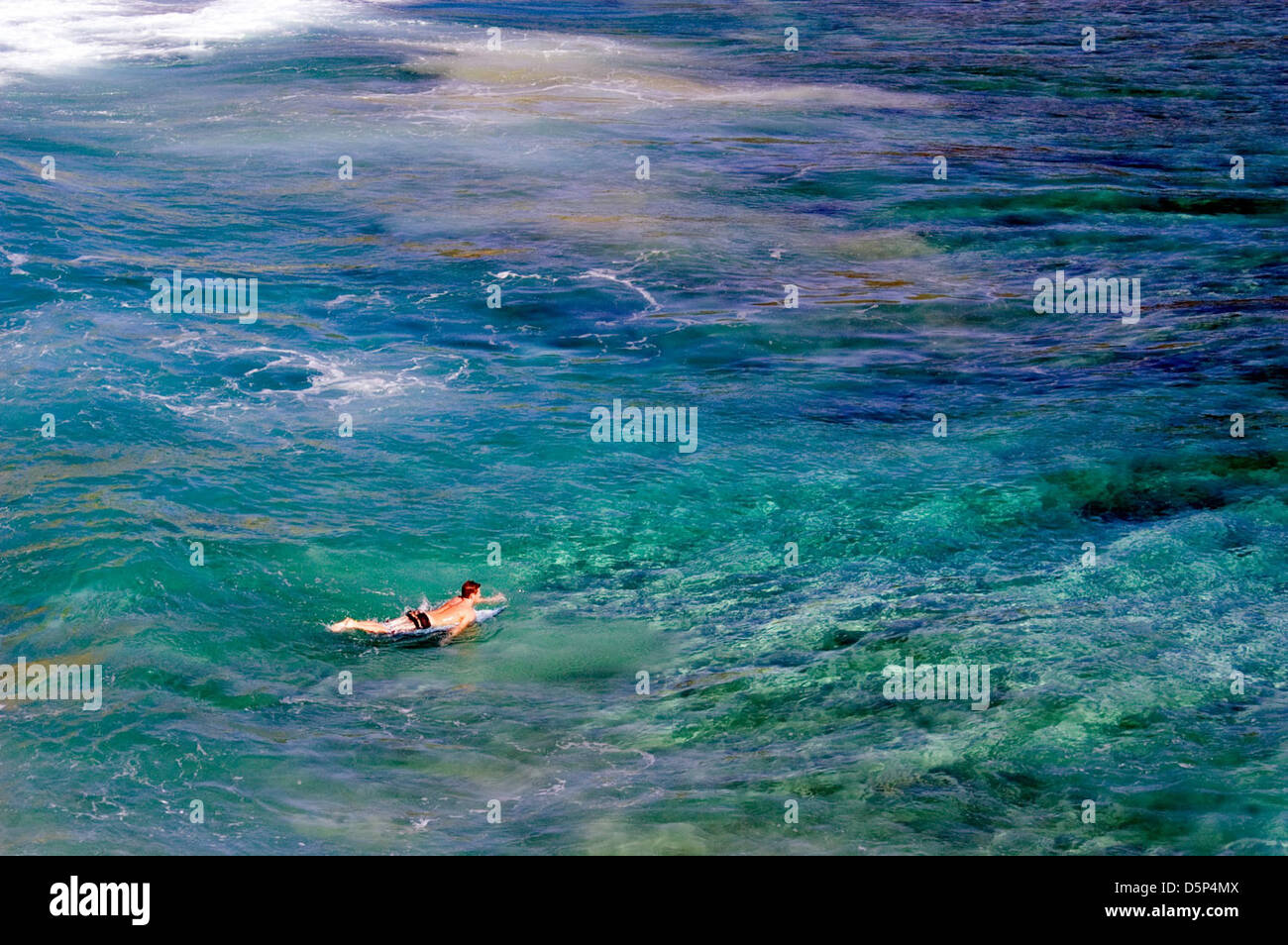 Küste Korallen Korallenriff Welle Umwelt Hawaii Ocean Reef Surfer Surfen Wasserwellen Stockfoto