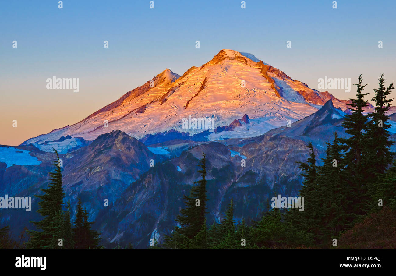 Mount Baker bei Sonnenaufgang aus Kuhlsan Ridge; Cascade Mountains, Washington. Stockfoto