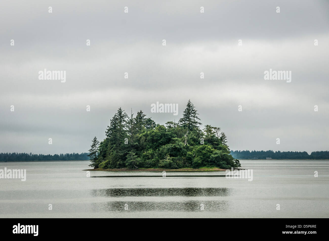 Baby Insel Willapa Bay, Willapa National Wildlife Refuge, Washington. Stockfoto