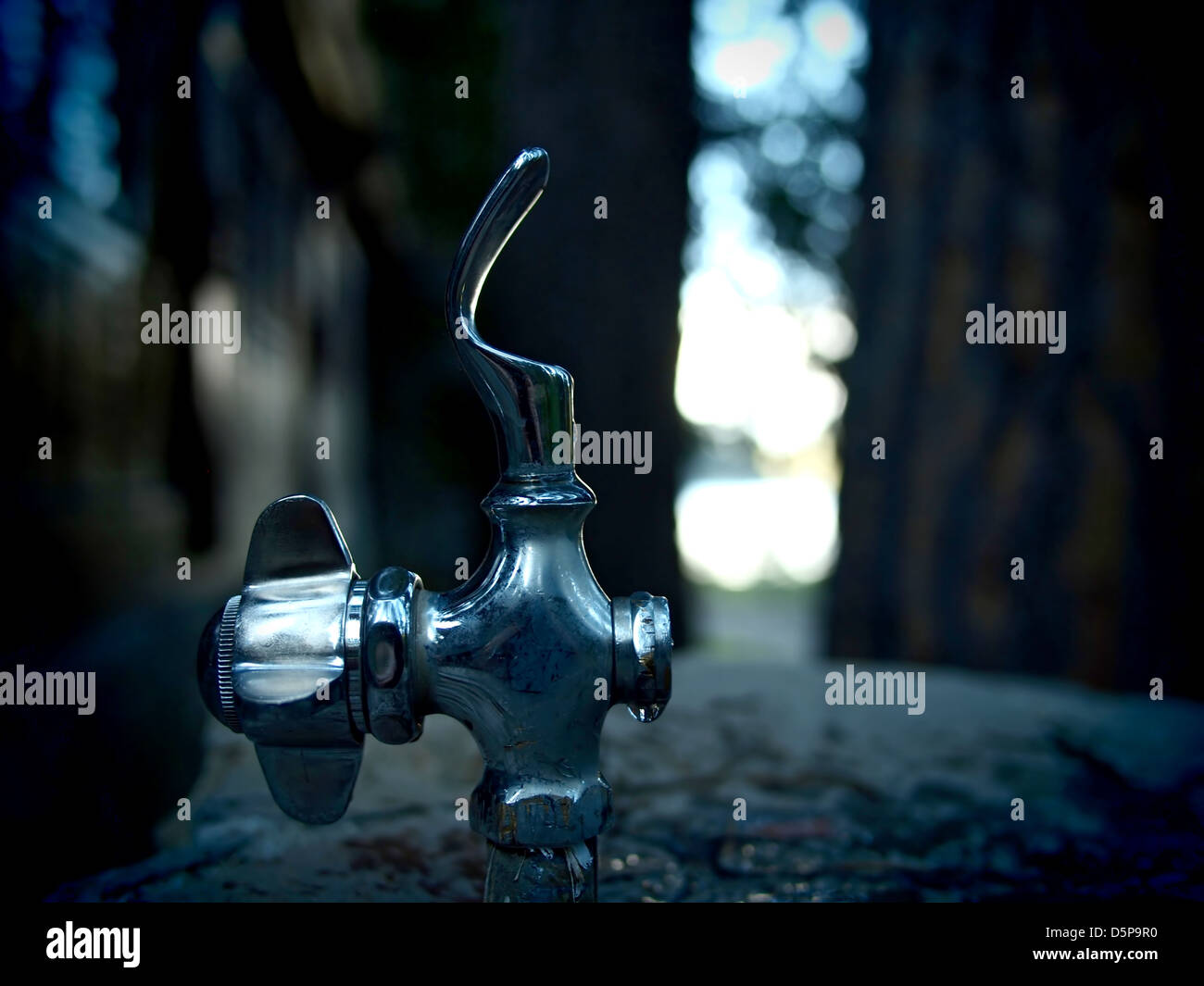 Wasser-Brunnen Stockfoto
