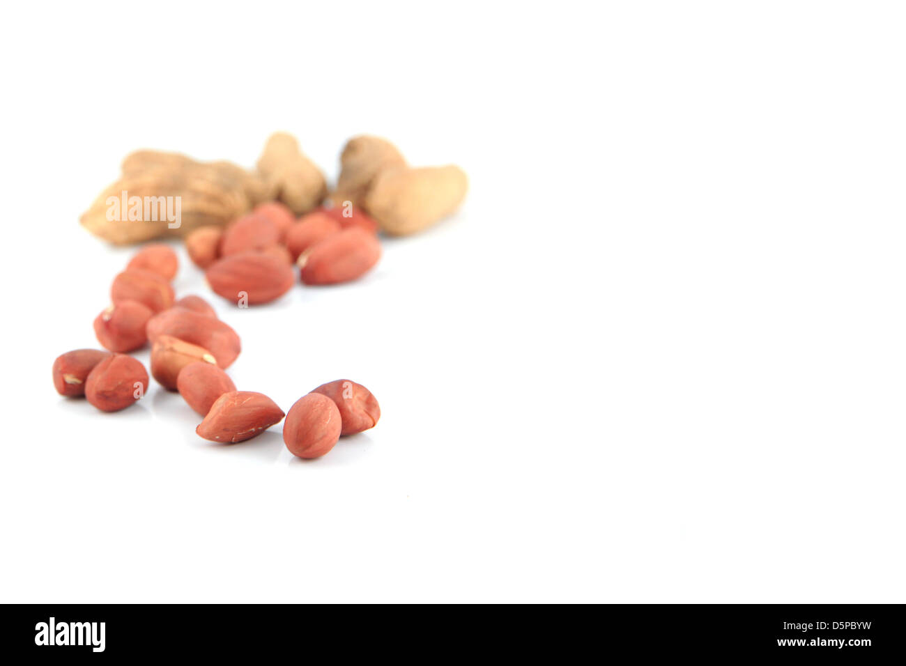 Eine Menge von Erdnüssen auf isoliert auf weißem Hintergrund, Fokus auf Vordergrund. Stockfoto