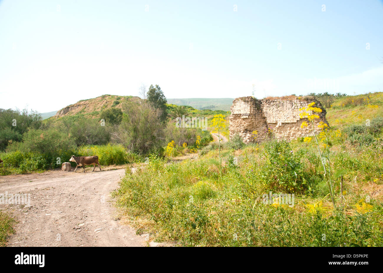 Tel Ubeidiya befindet sich 3 km südlich von See Tiberias Stockfoto