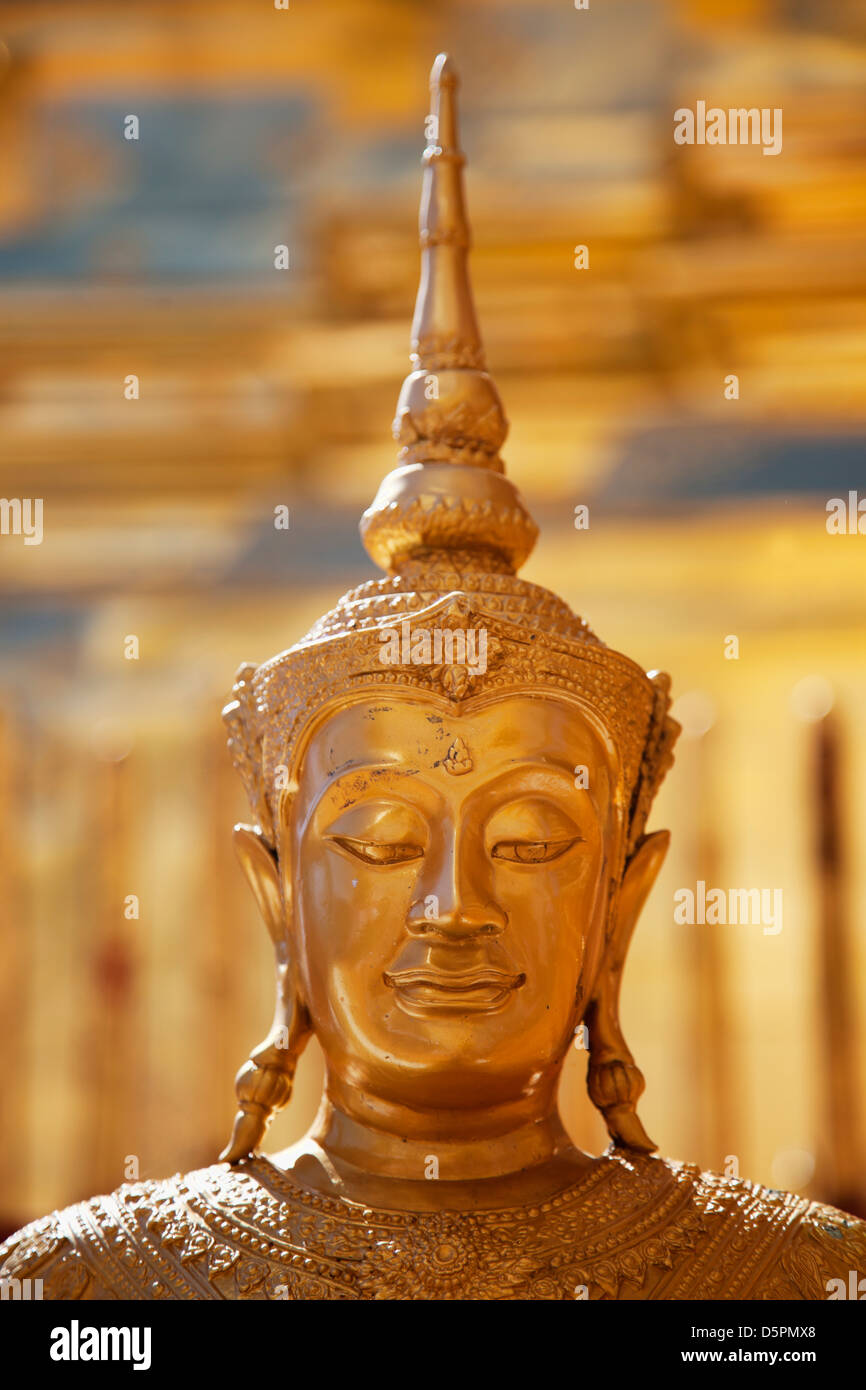 Goldene Buddha-Kopf Stockfoto