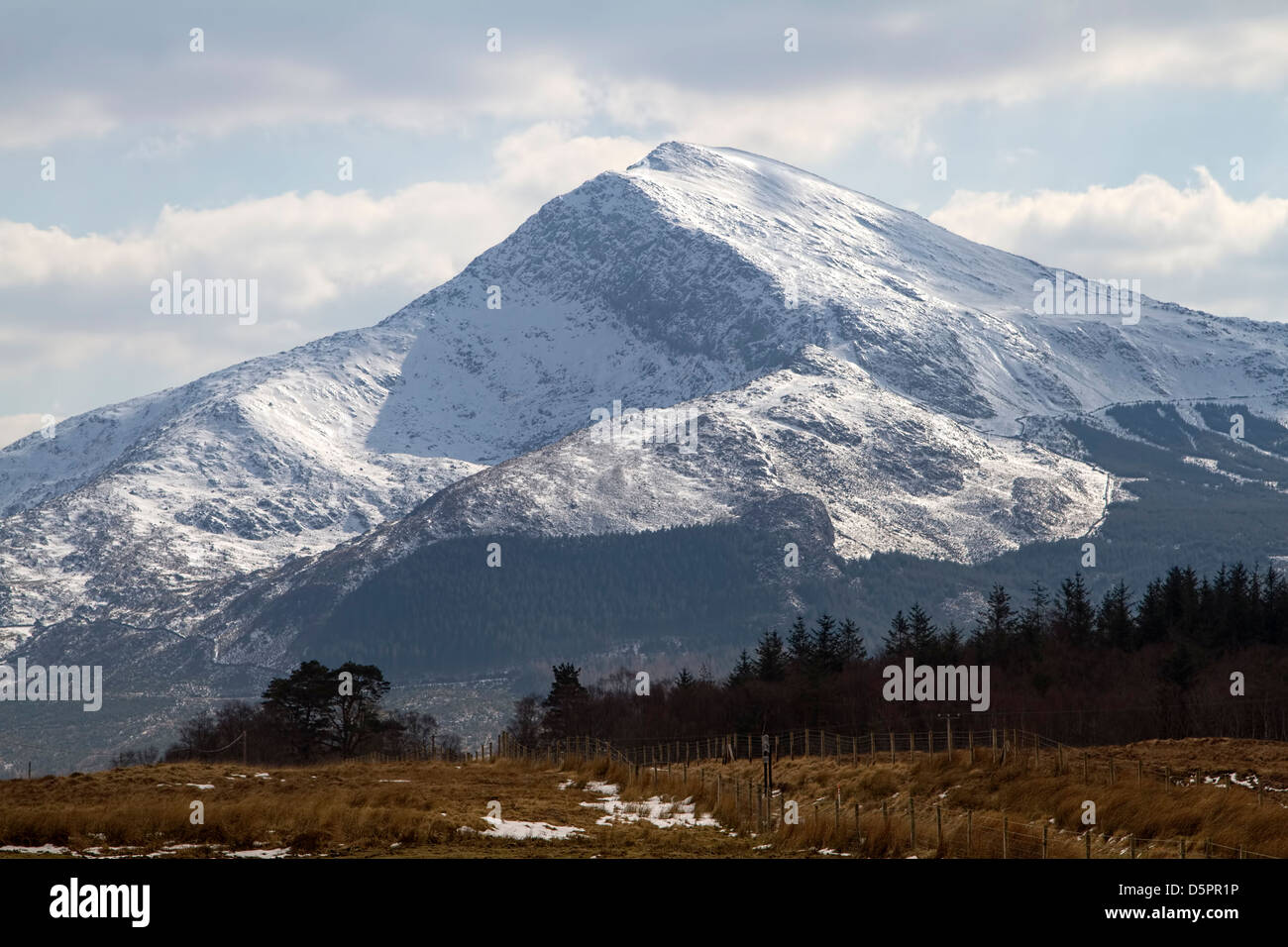 Ansicht der Moel Hebog in der Nähe von Beddgelert in Snowdonia Nord-Wales Stockfoto