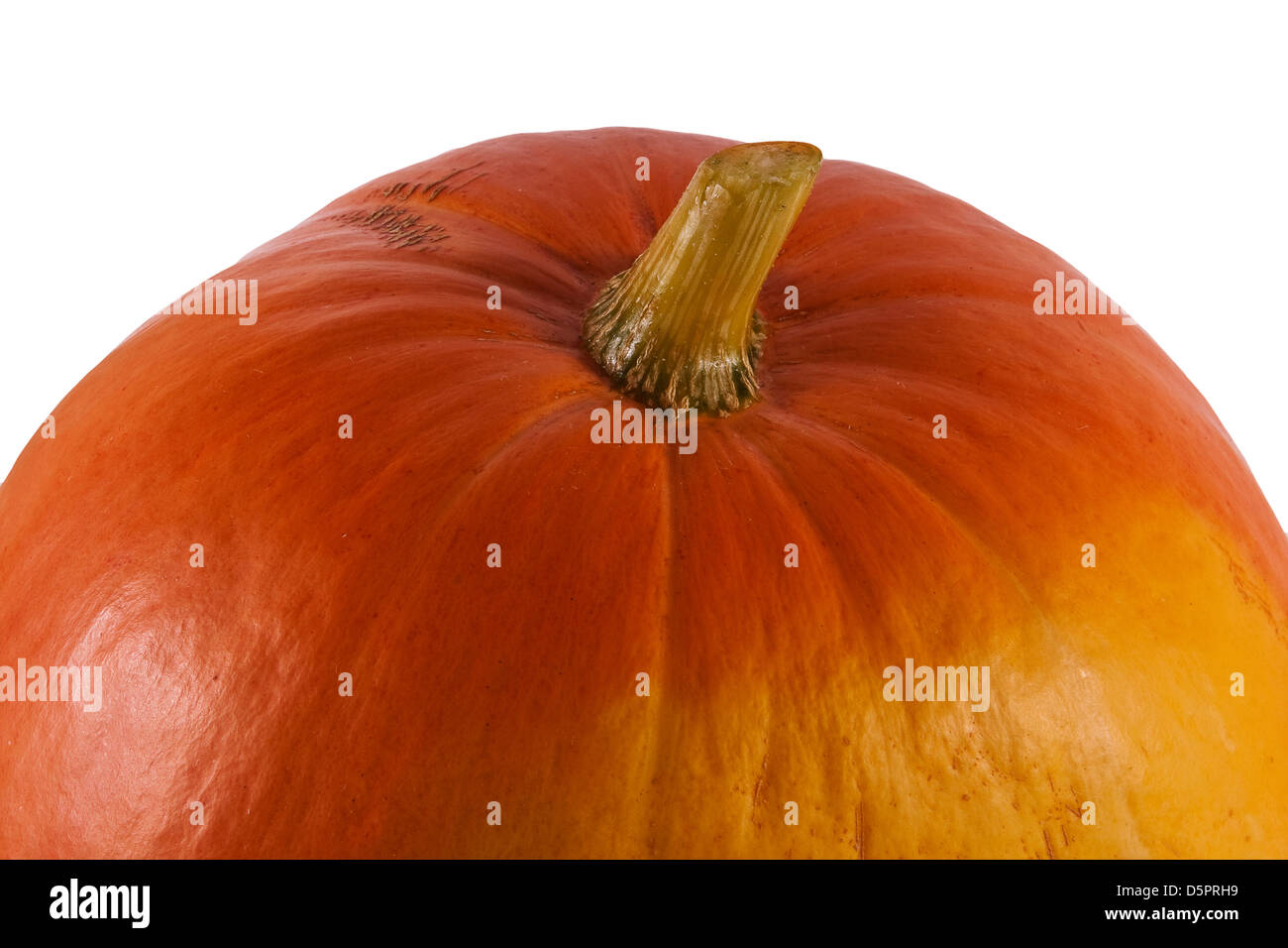 Fragment der großen Reifen Kürbis Stockfoto