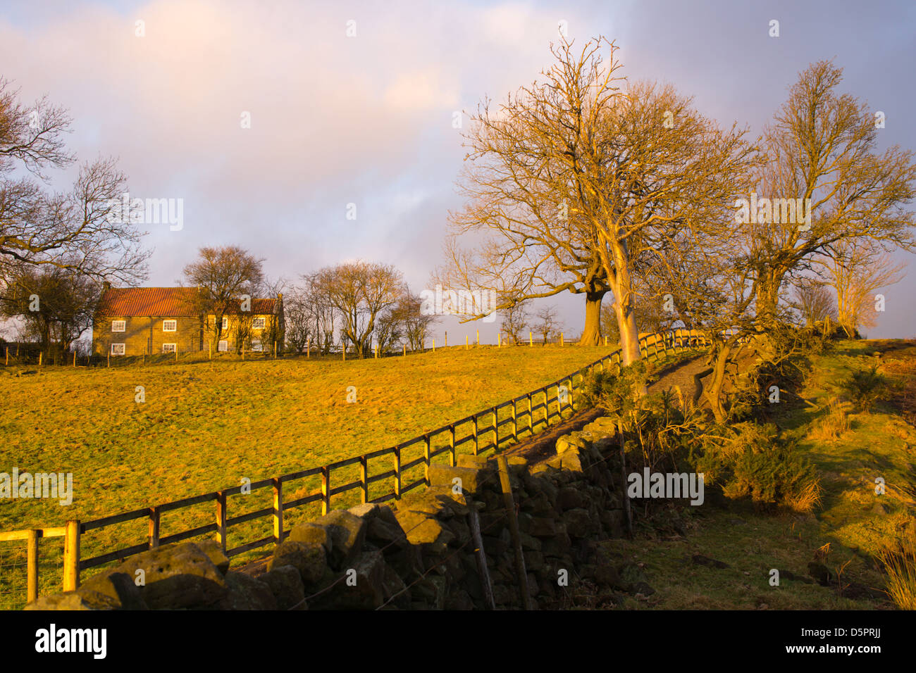 Trockenmauer und Zaun zu Bäumen und Bauernhaus, geringer Sonneneinstrahlung. Stockfoto