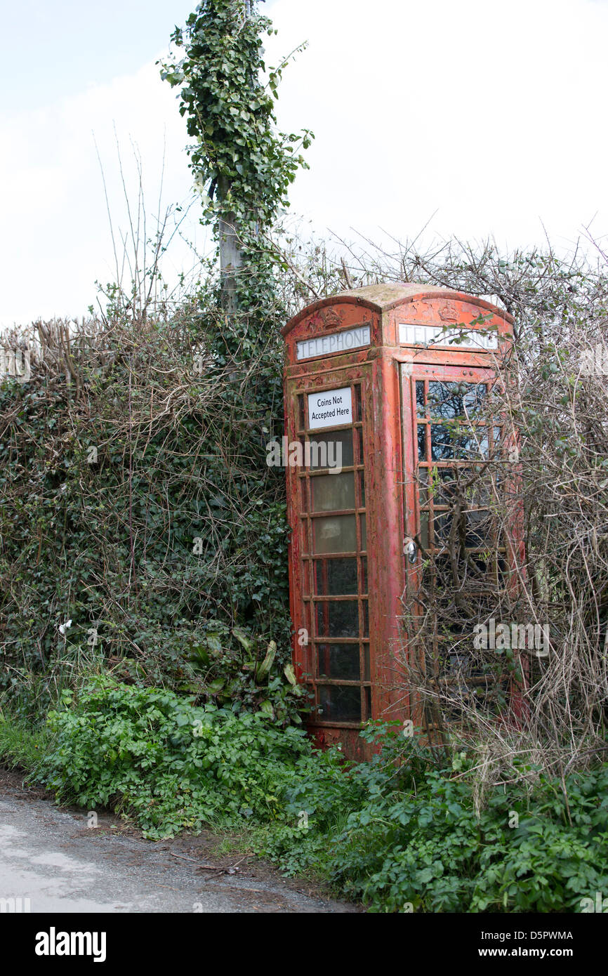 Alte rote Telefonzelle überwachsen und nicht in Gebrauch. Stockfoto
