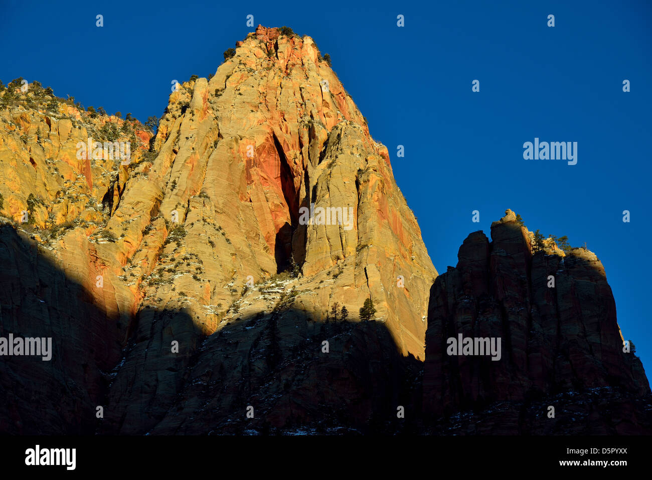 Roter Sandstein-Klippe entlang Zion Canyon. Zion Nationalpark, Utah, USA. Stockfoto