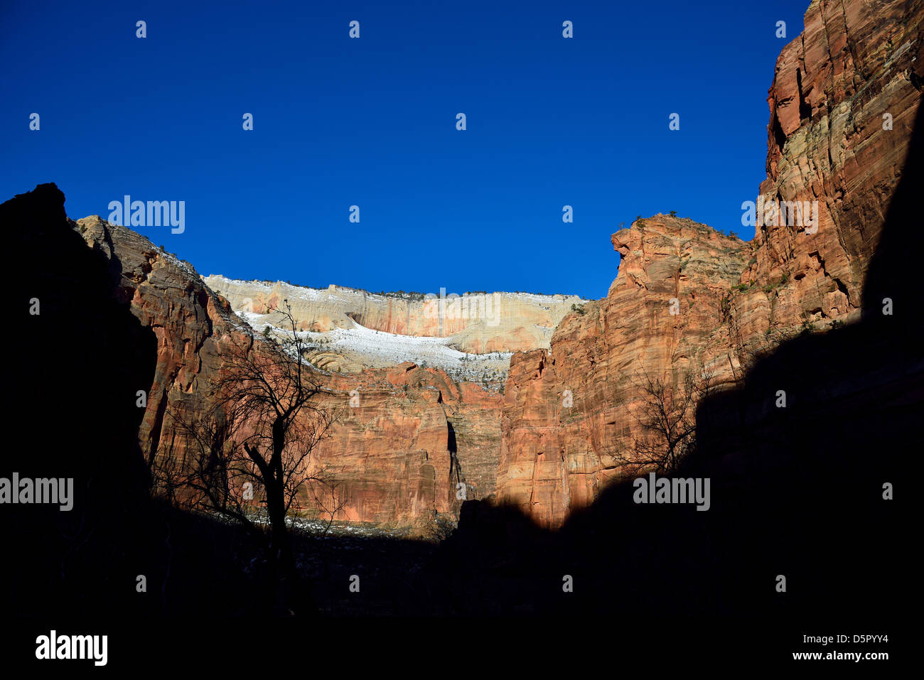 Sandstein-Klippen entlang Zion Canyon. Zion Nationalpark, Utah, USA. Stockfoto