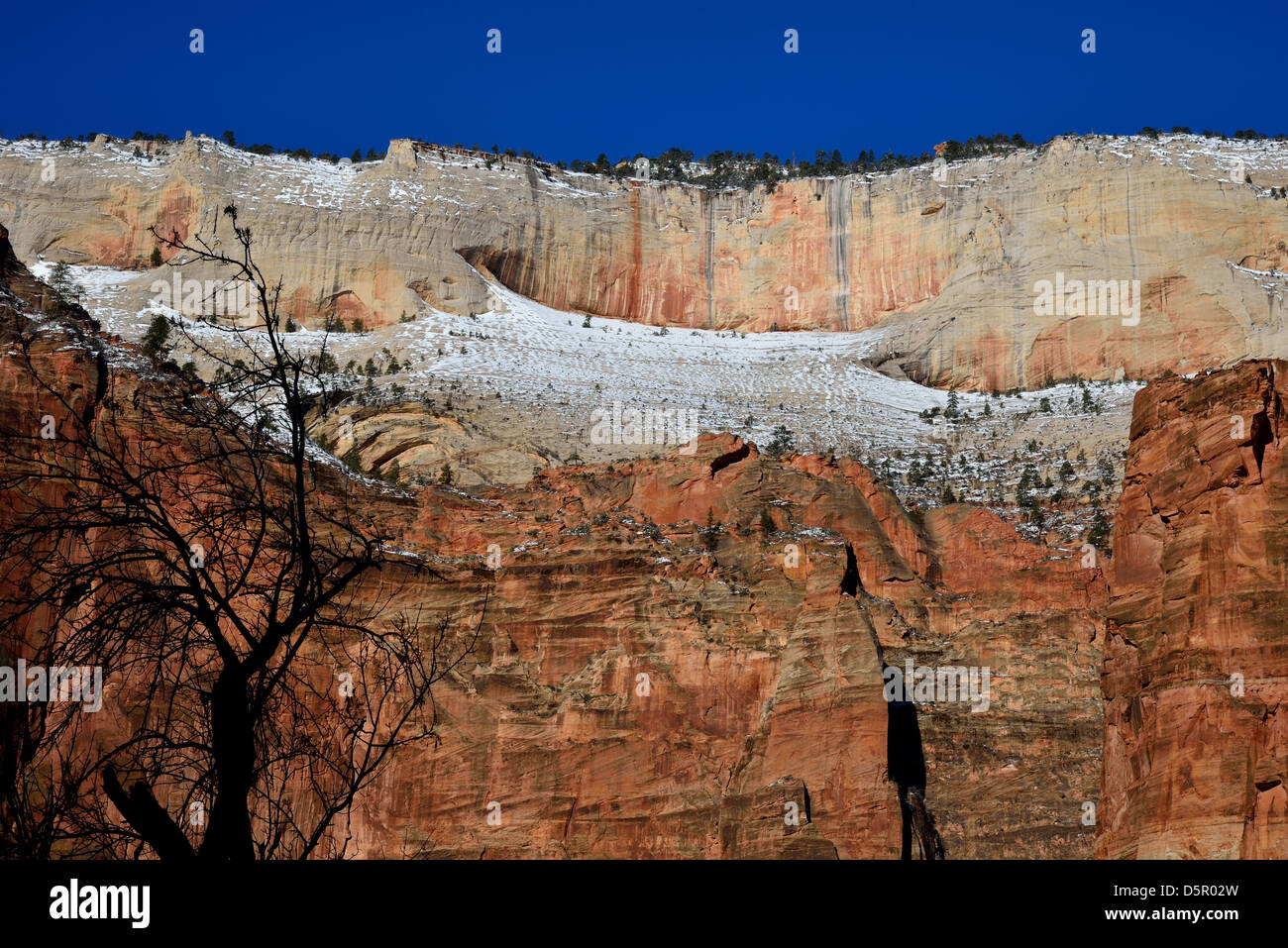 Schnee bleibt auf rotem Sandstein Felsen entlang Zion Canyon. Zion Nationalpark, Utah, USA. Stockfoto