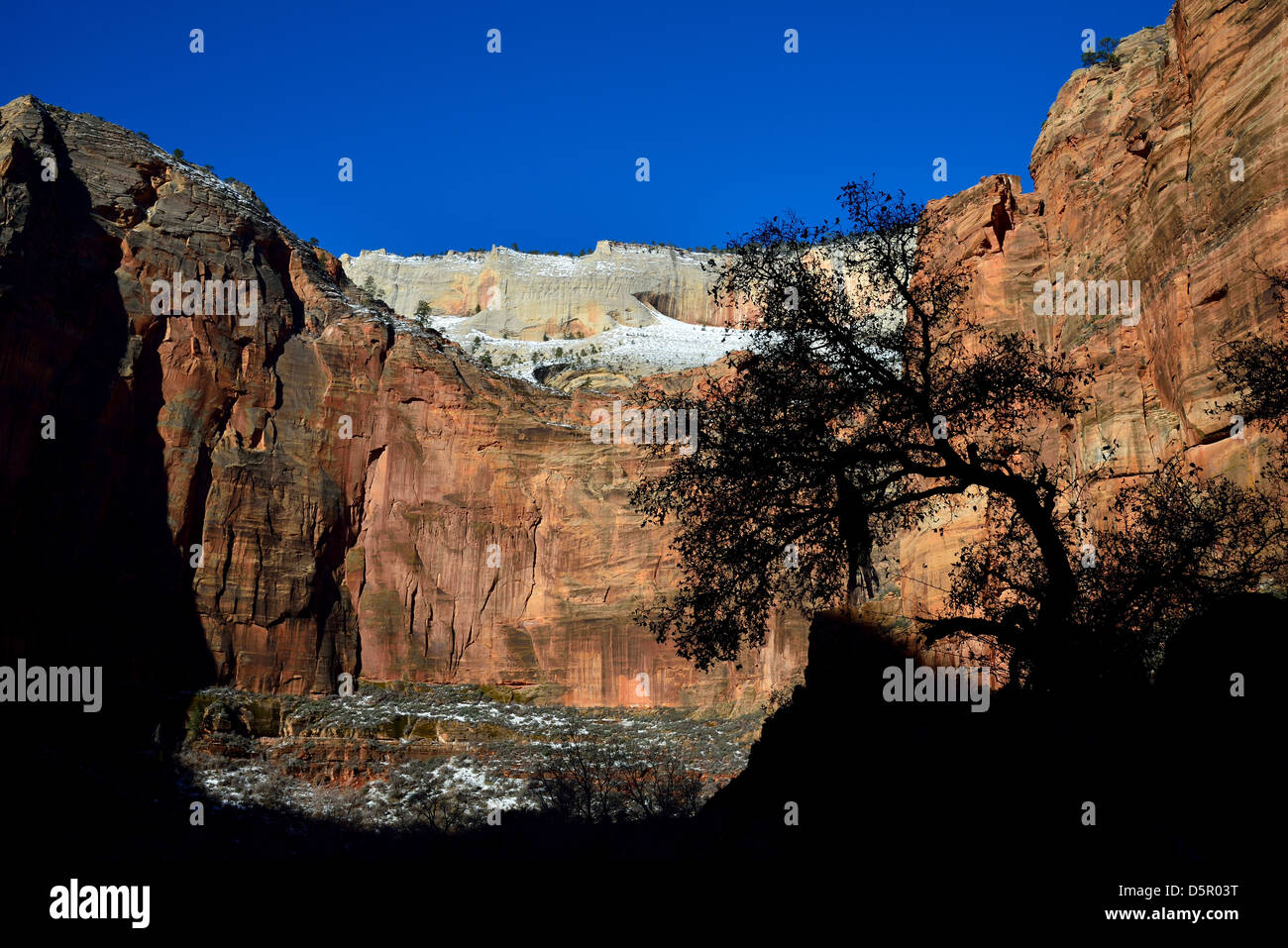 Roter Sandstein-Klippe entlang Zion Canyon. Zion Nationalpark, Utah, USA. Stockfoto