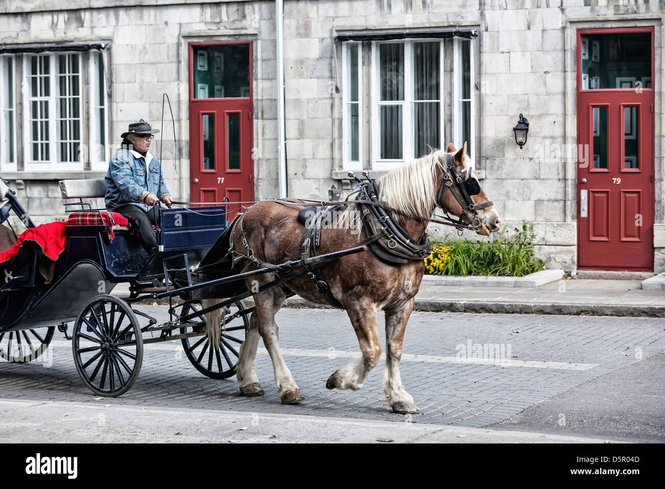Pferdekutsche, Altstadt von Quebec, Quebec Stadt, Quebec, Kanada Stockfoto