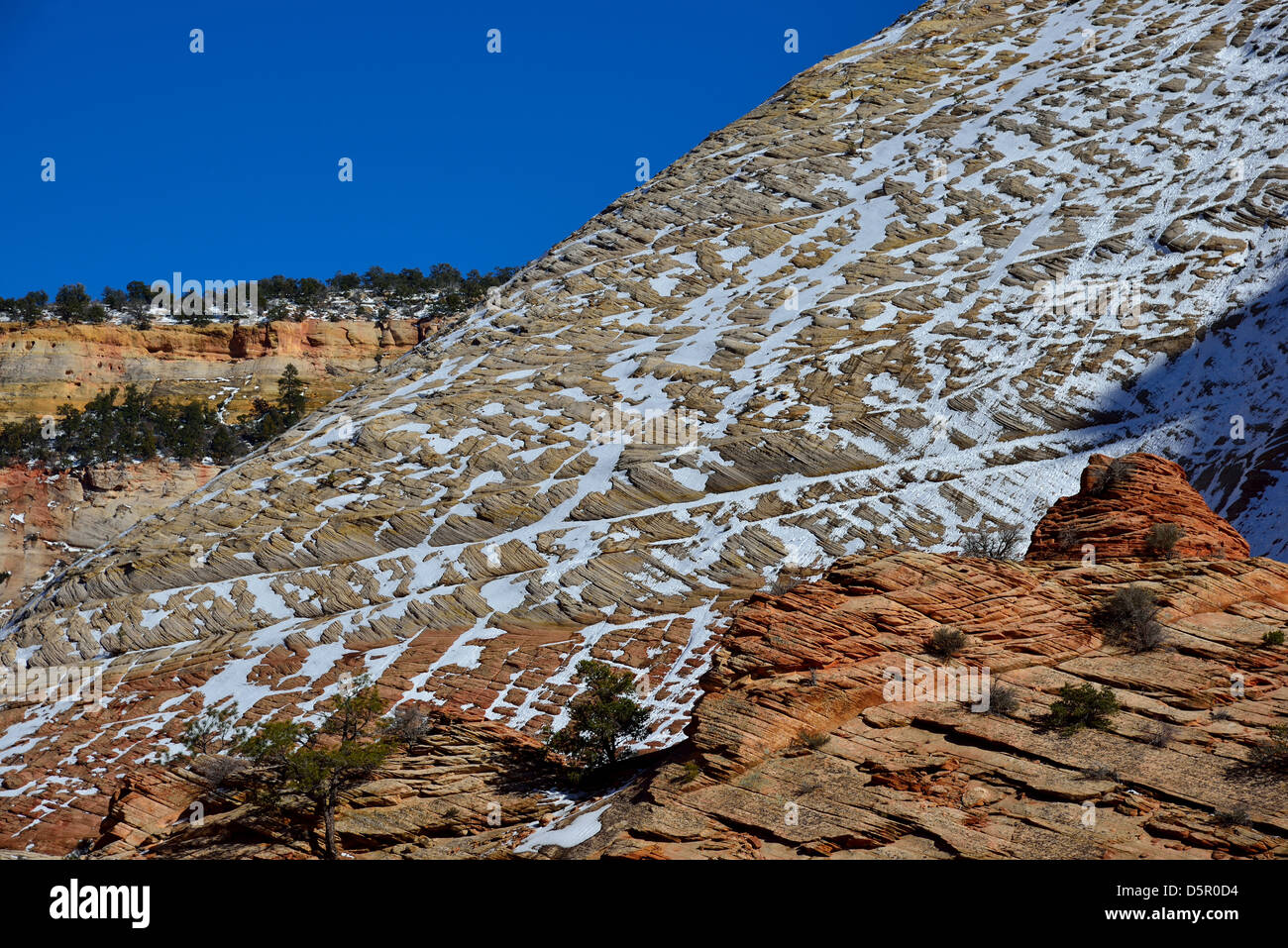 Schnee bleibt der Checker Board Mesa. Zion Nationalpark, Utah, USA. Stockfoto