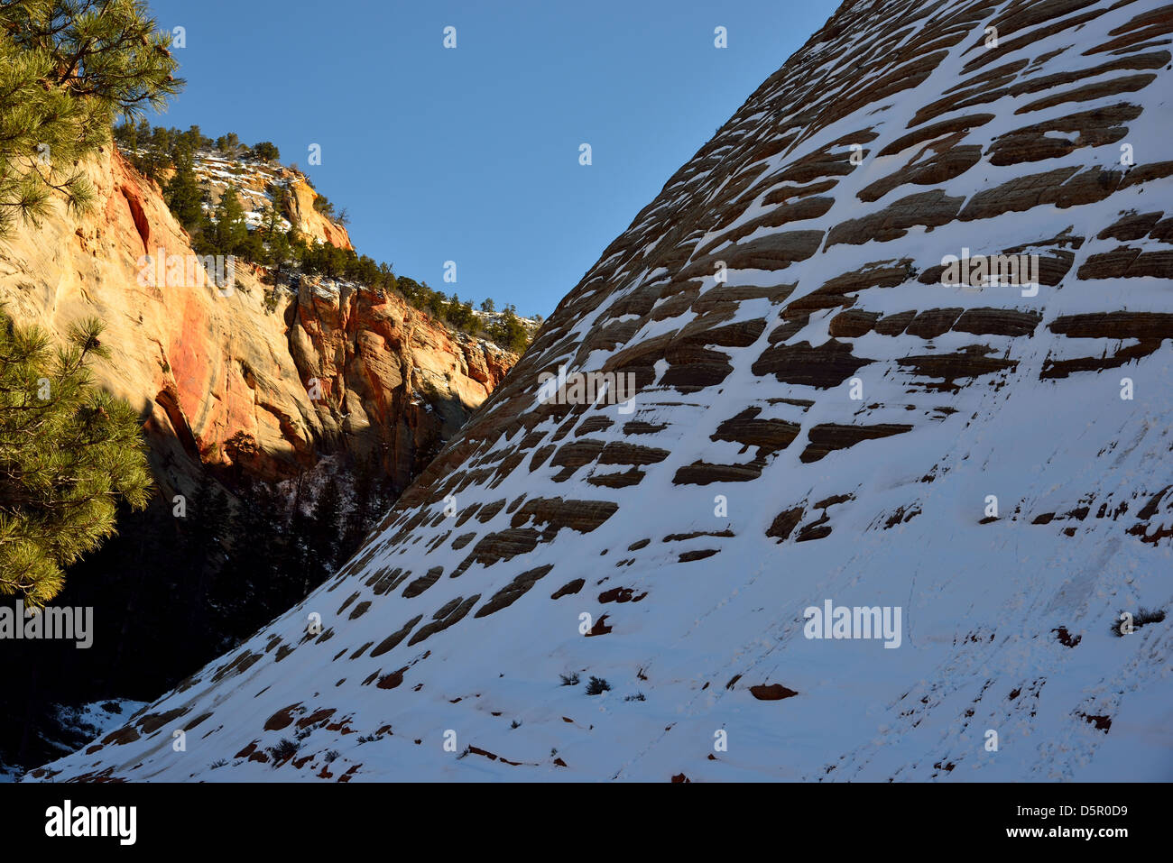 Checker Board Mesa mit leichten Schnee bedeckt. Zion Nationalpark, Utah, USA. Stockfoto