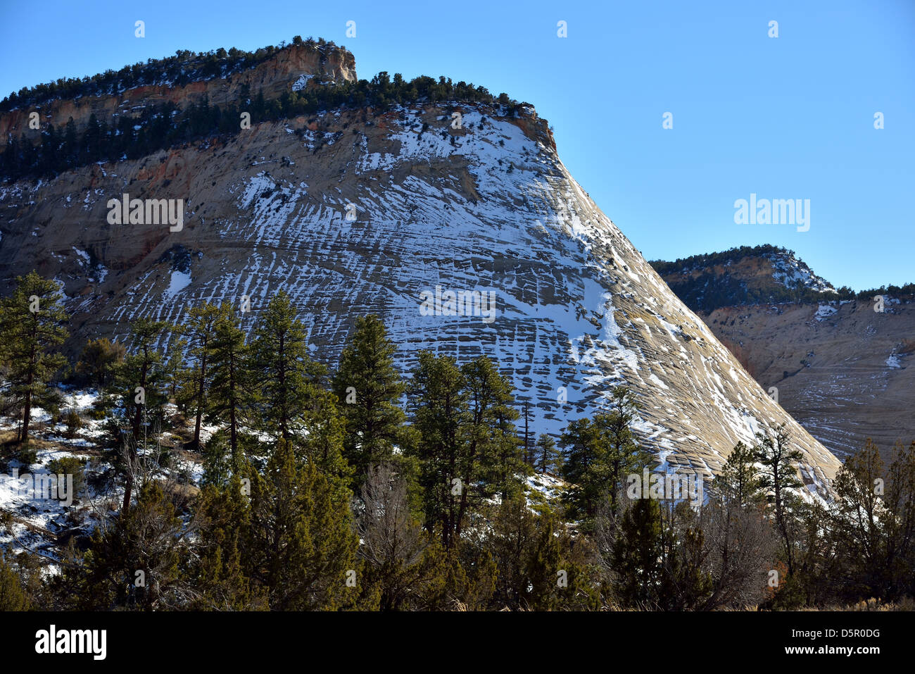 Checker Board Mesa mit leichten Schnee bedeckt. Zion Nationalpark, Utah, USA. Stockfoto