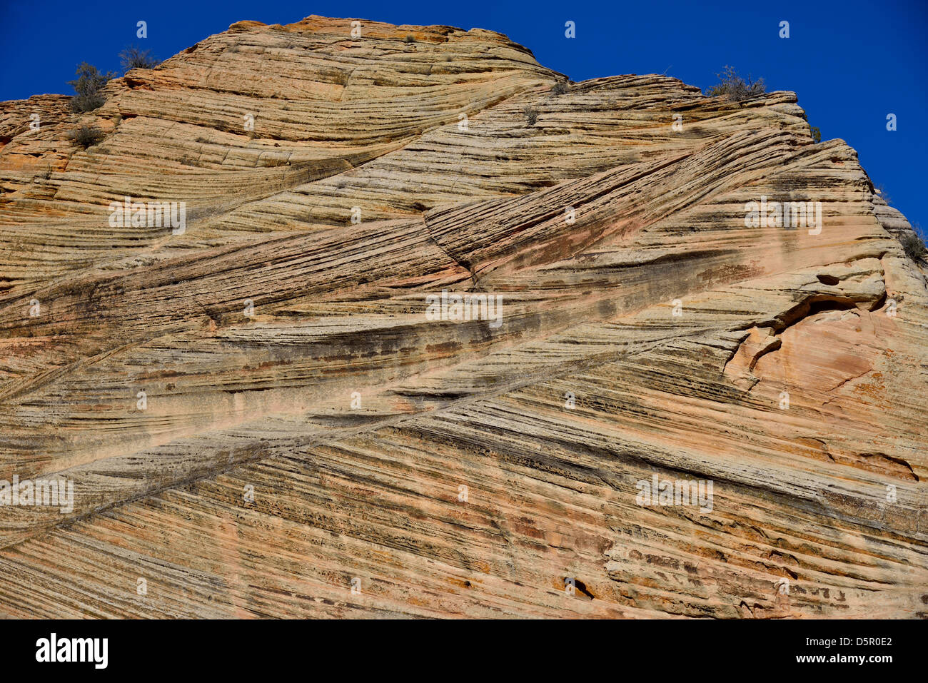 Überqueren Sie die Betten der Äolischen Sandstein. Zion Nationalpark, Utah, USA. Stockfoto