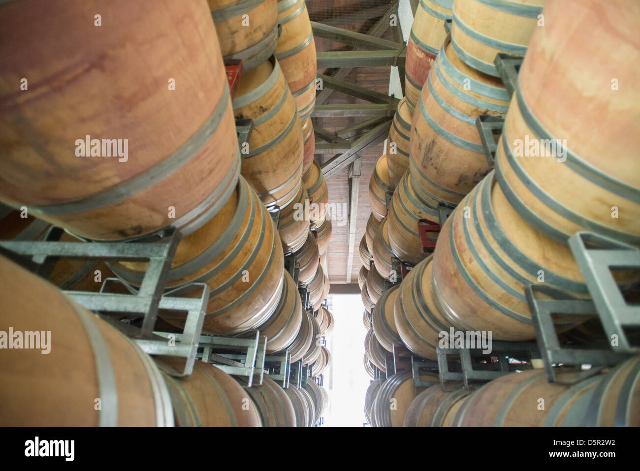 Undurraga Weinberge und Weinkeller in Talagante Chile Stockfoto