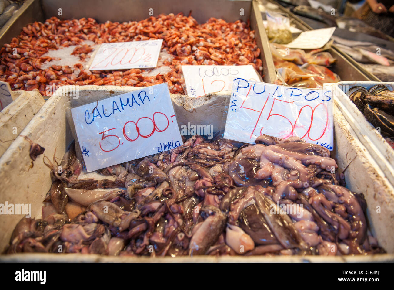 Mercado Central, einer der größten frische Meeresfrüchte Chiles Märkte Santiago Chile Stockfoto