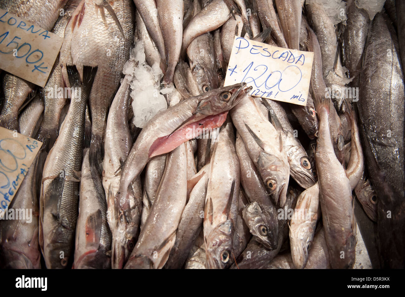 Mercado Central, einer der größten frische Meeresfrüchte Chiles Märkte Santiago Chile Stockfoto