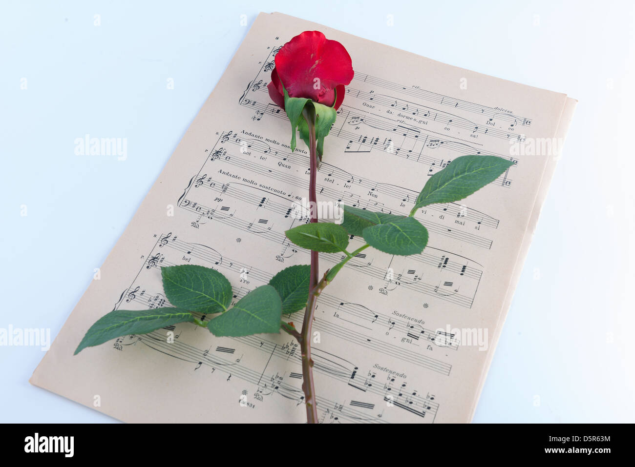 ein Notenblatt mit einer roten rose Stockfoto
