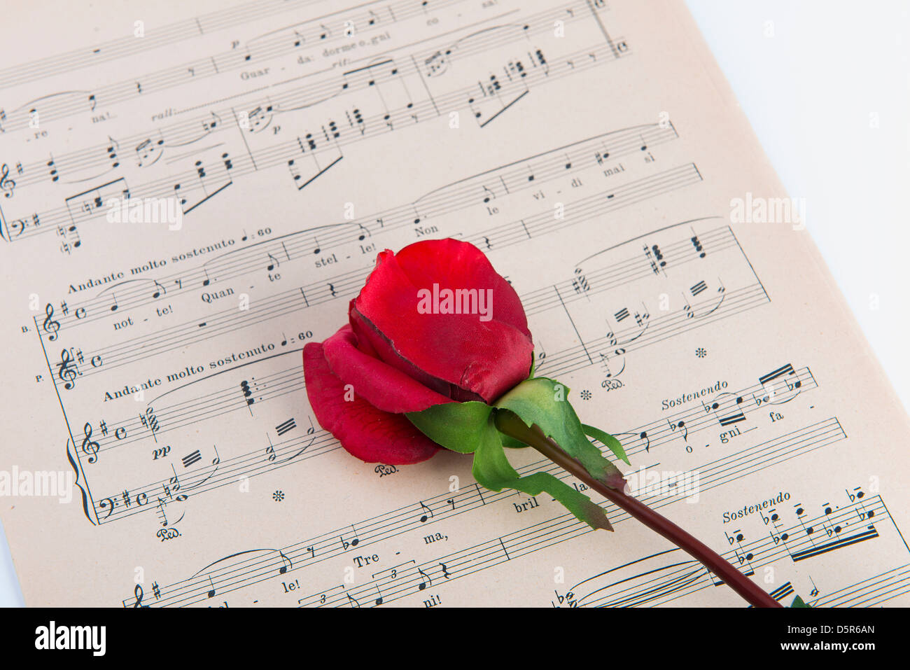 ein Notenblatt mit einer roten rose Stockfoto