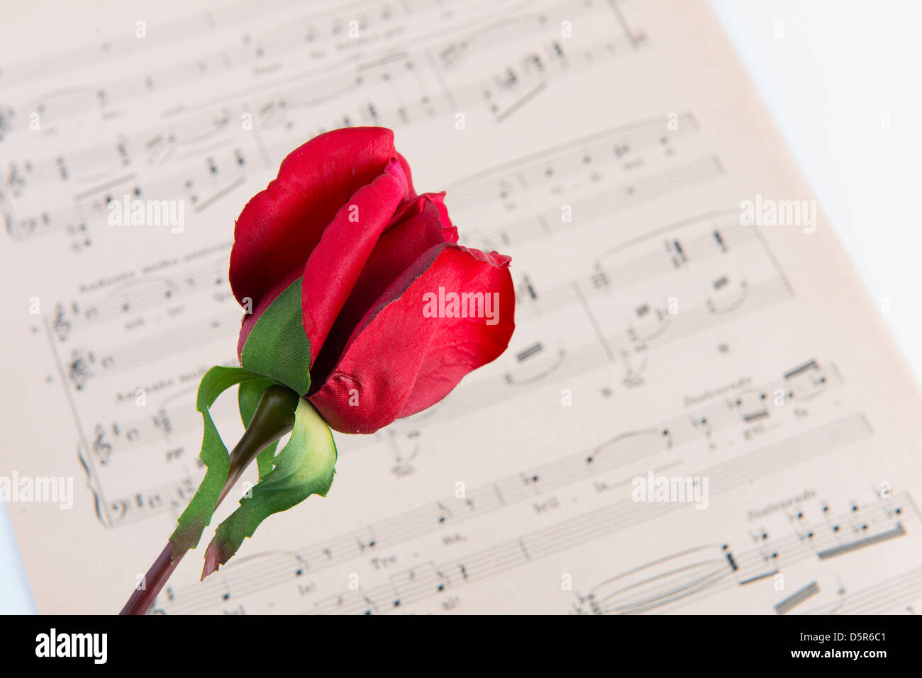 ein Notenblatt mit einer roten rose Stockfoto
