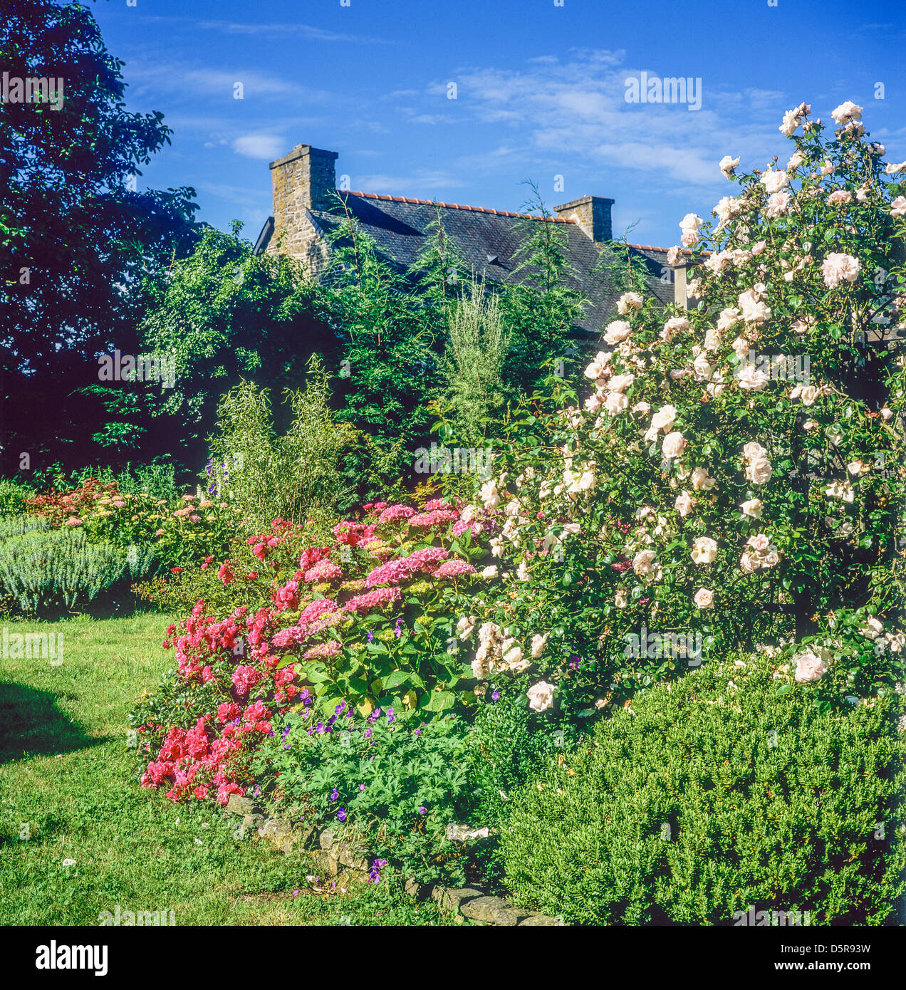 Garten mit Blumen und Haus Brittany France Stockfoto